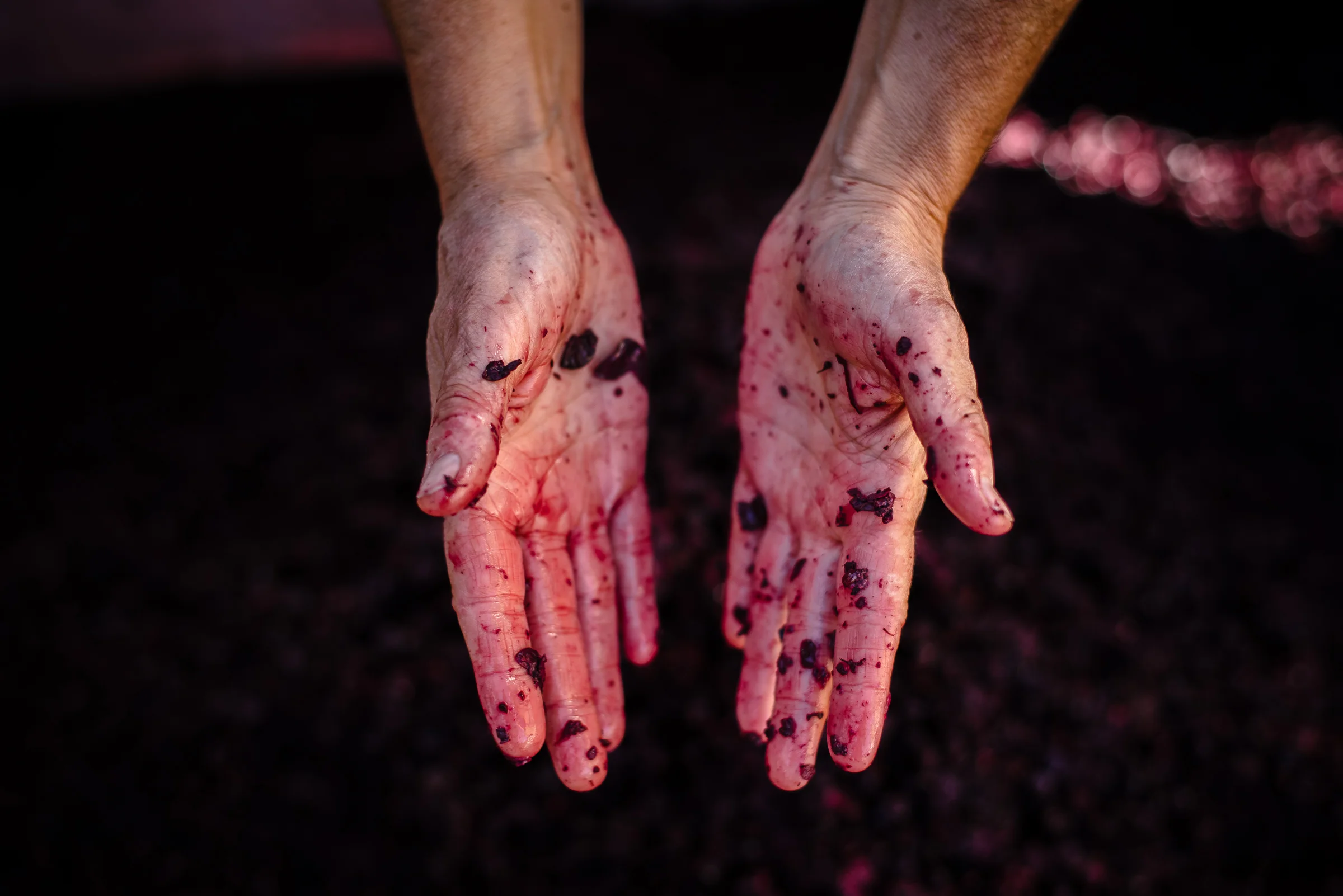2016_10_20-HARVEST2016-74.jpg