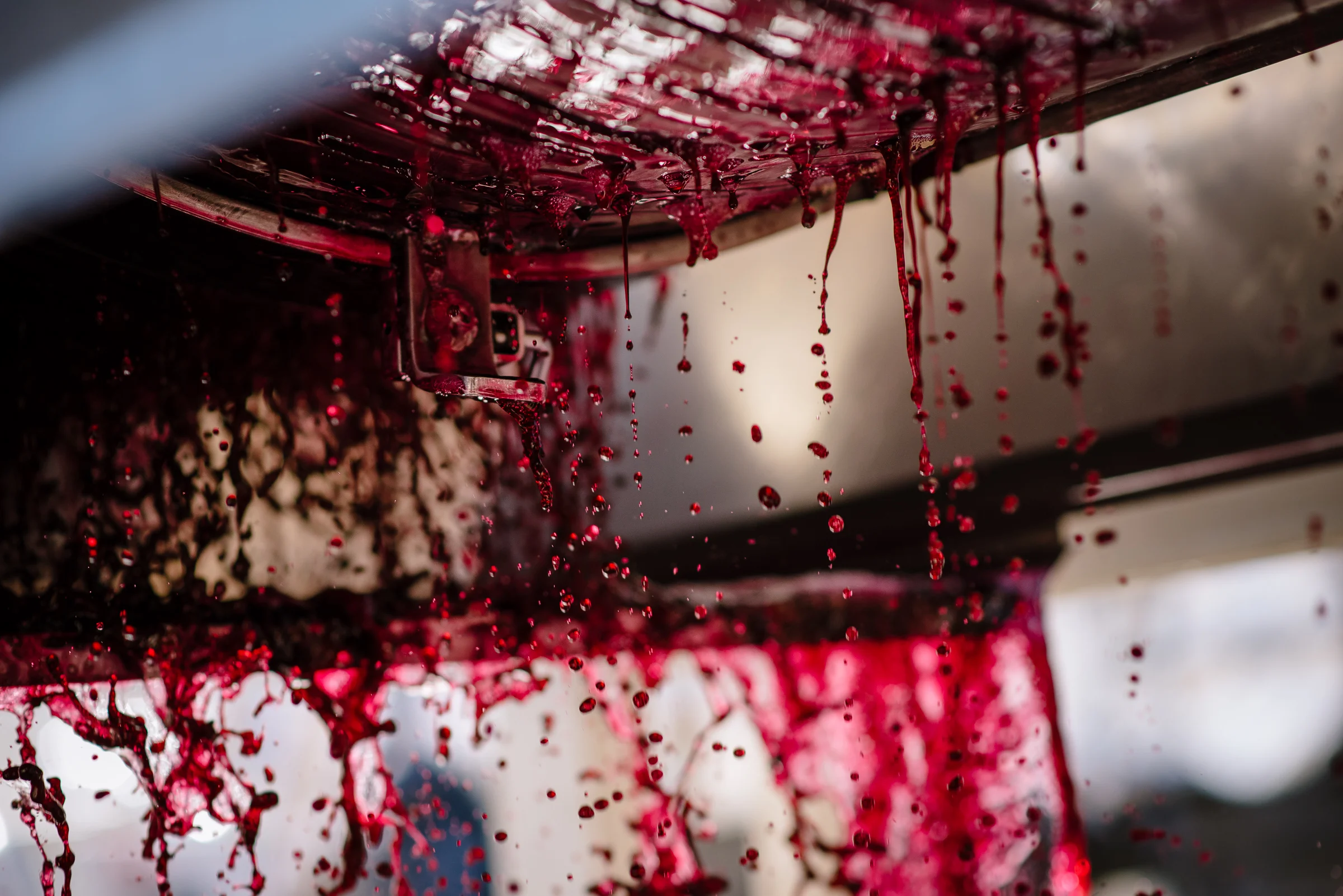 2016_10_20-HARVEST2016-55.jpg