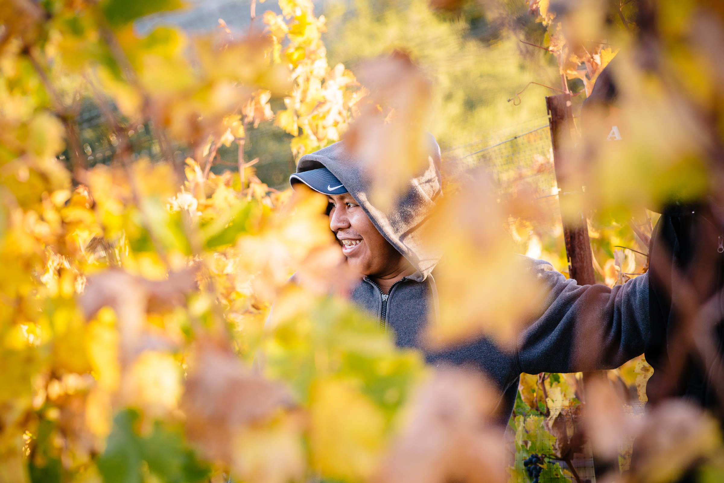 2016_10_20-HARVEST2016-21.jpg