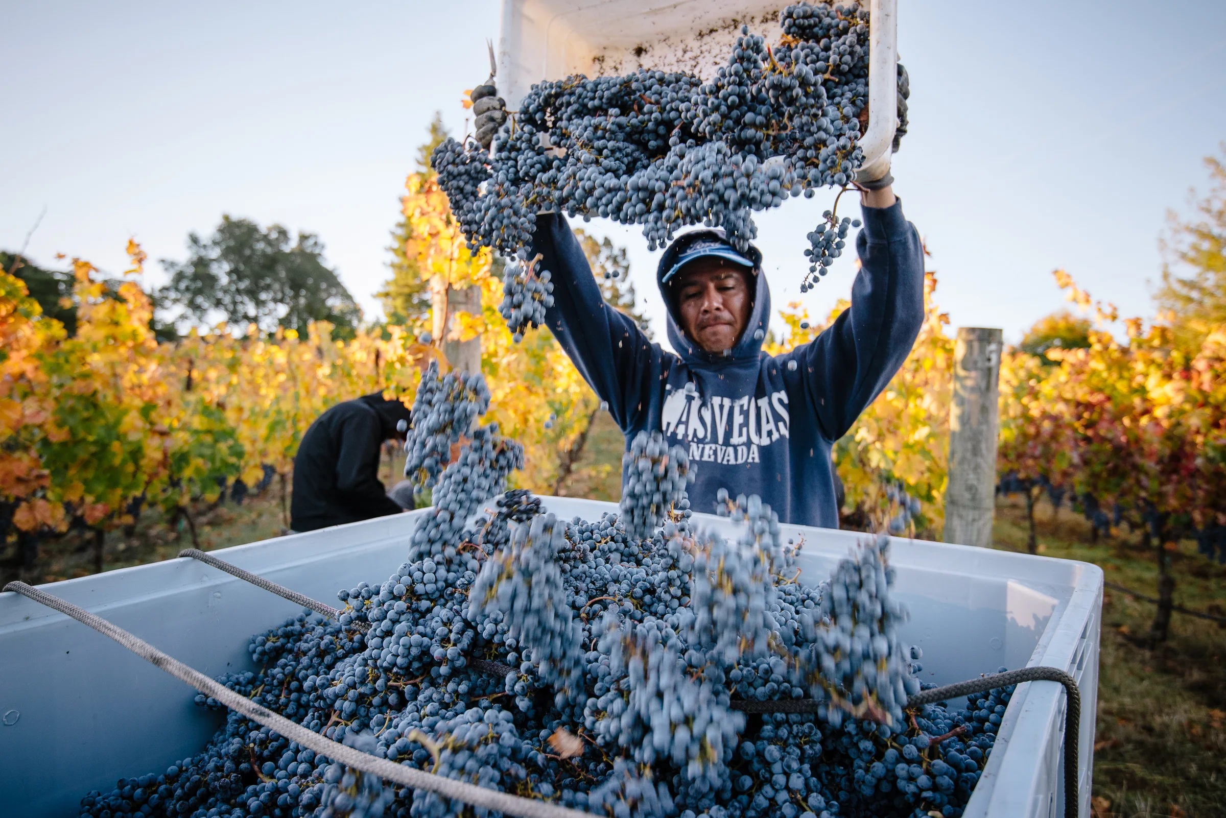 2016_10_20-HARVEST2016-13.jpg