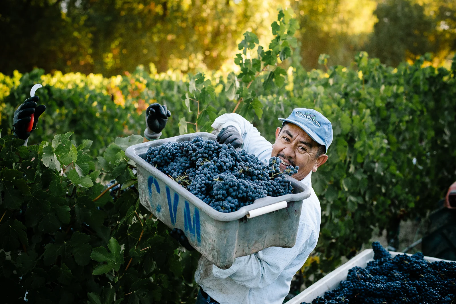 2016_09_19-HARVESTLB-89.jpg