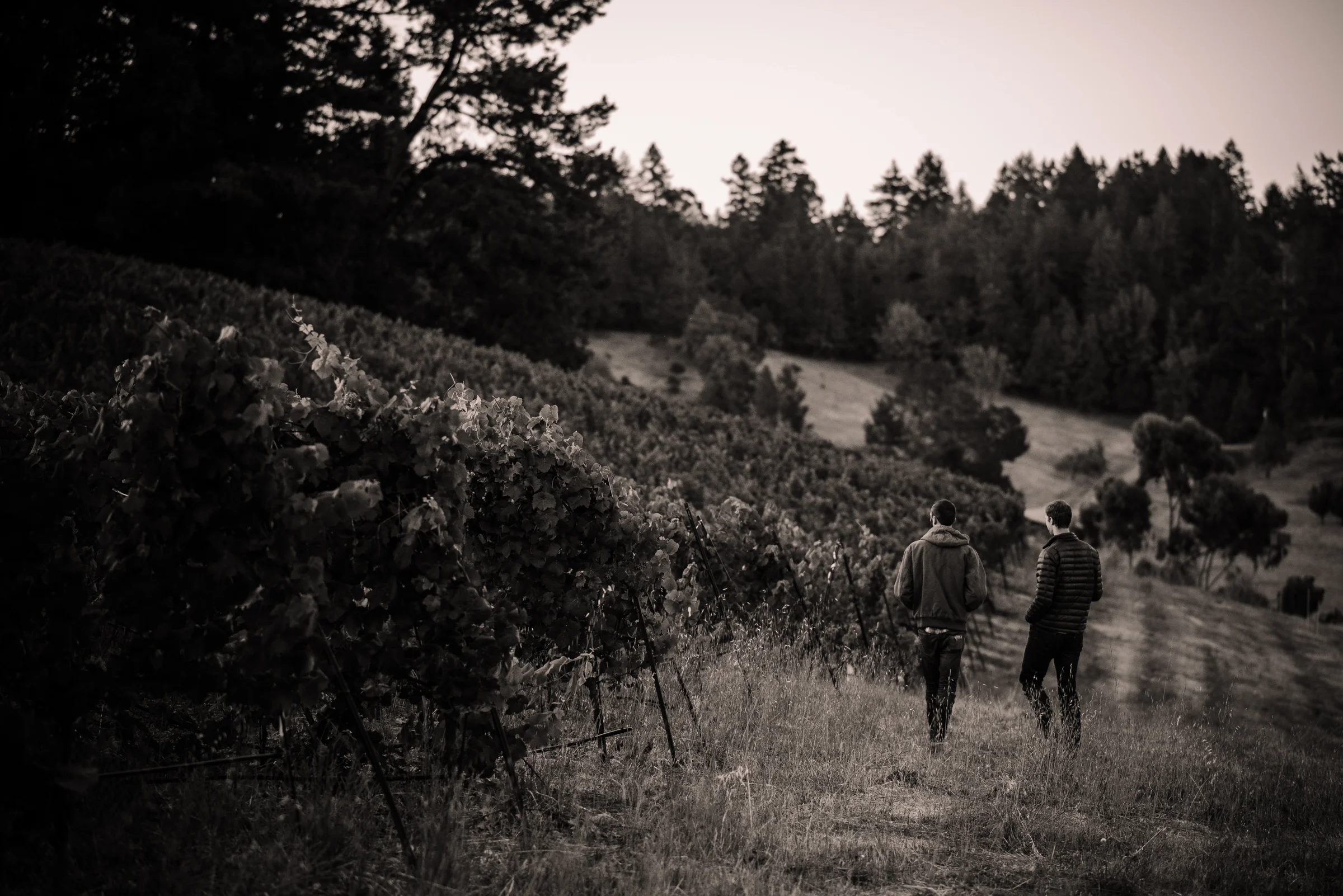 SENSES WEB B&W-16.jpg