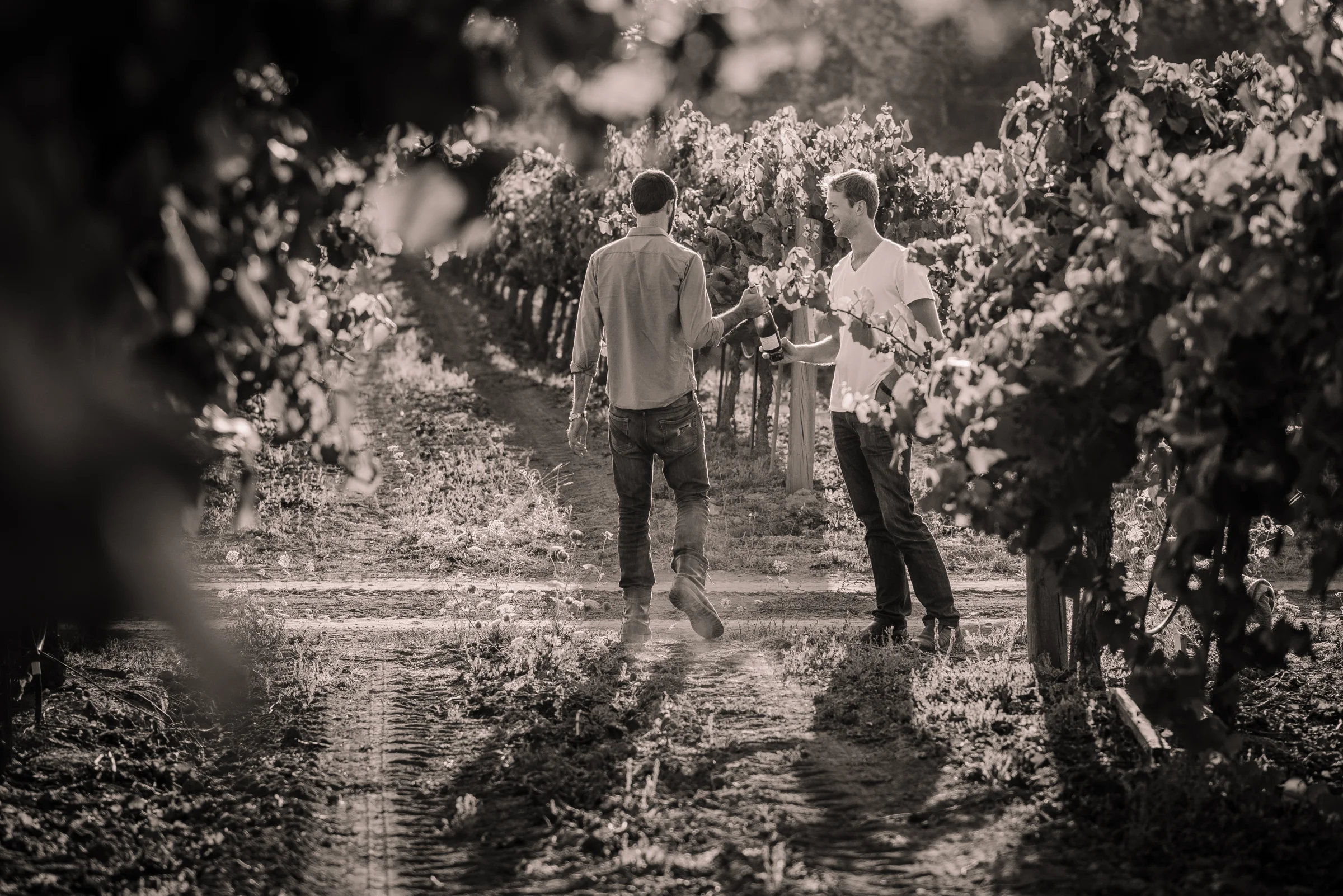 SENSES WEB B&W-67.jpg