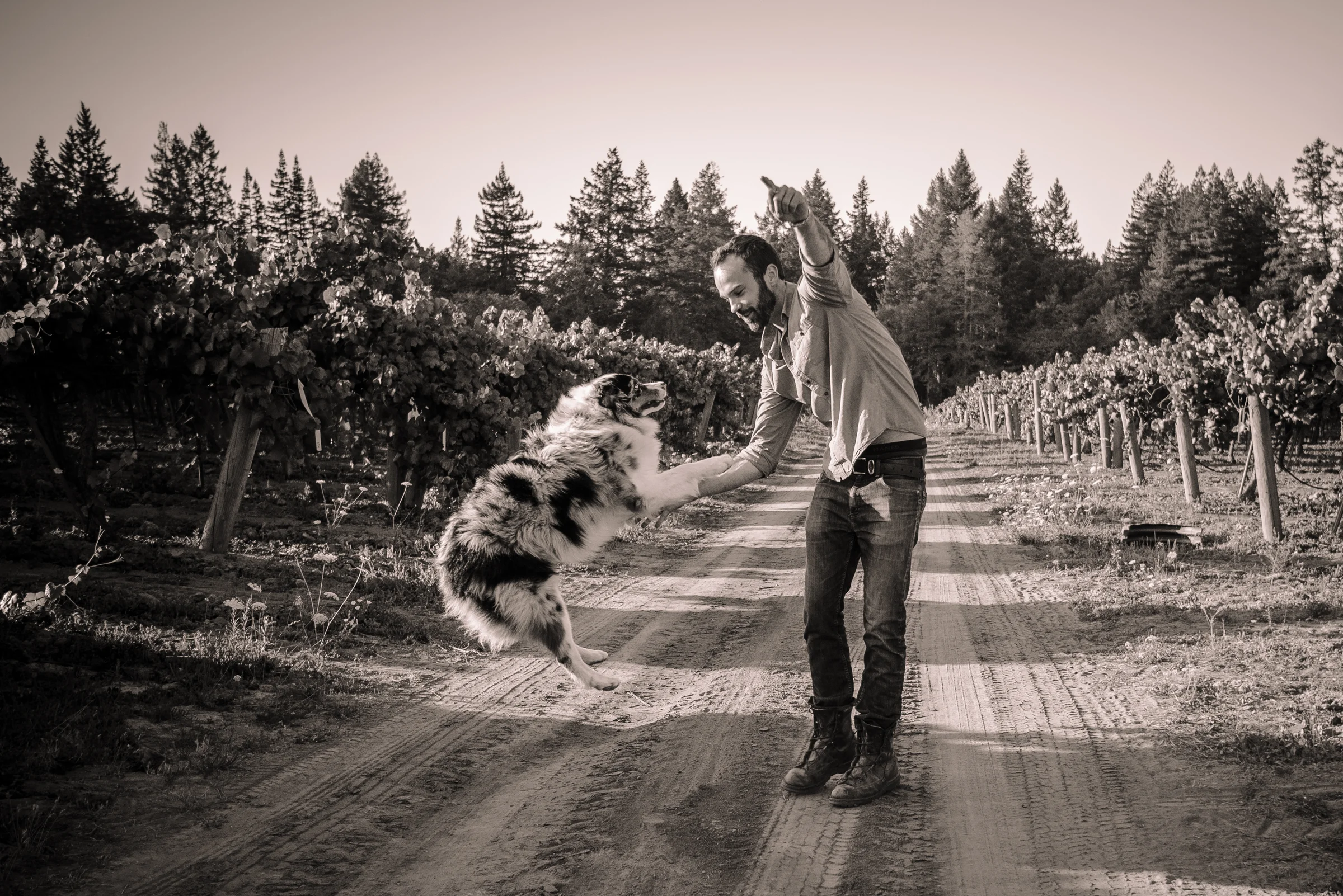 SENSES WEB B&W-68.jpg