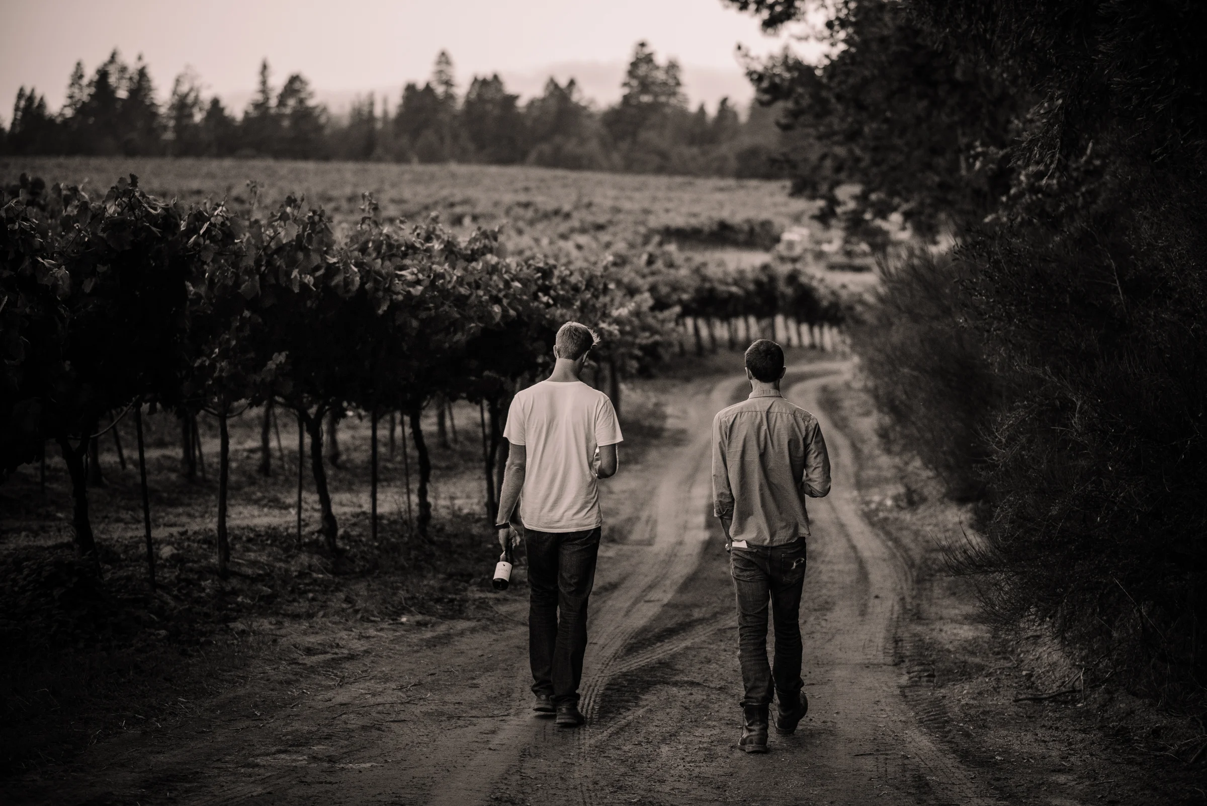 SENSES WEB B&W-78.jpg