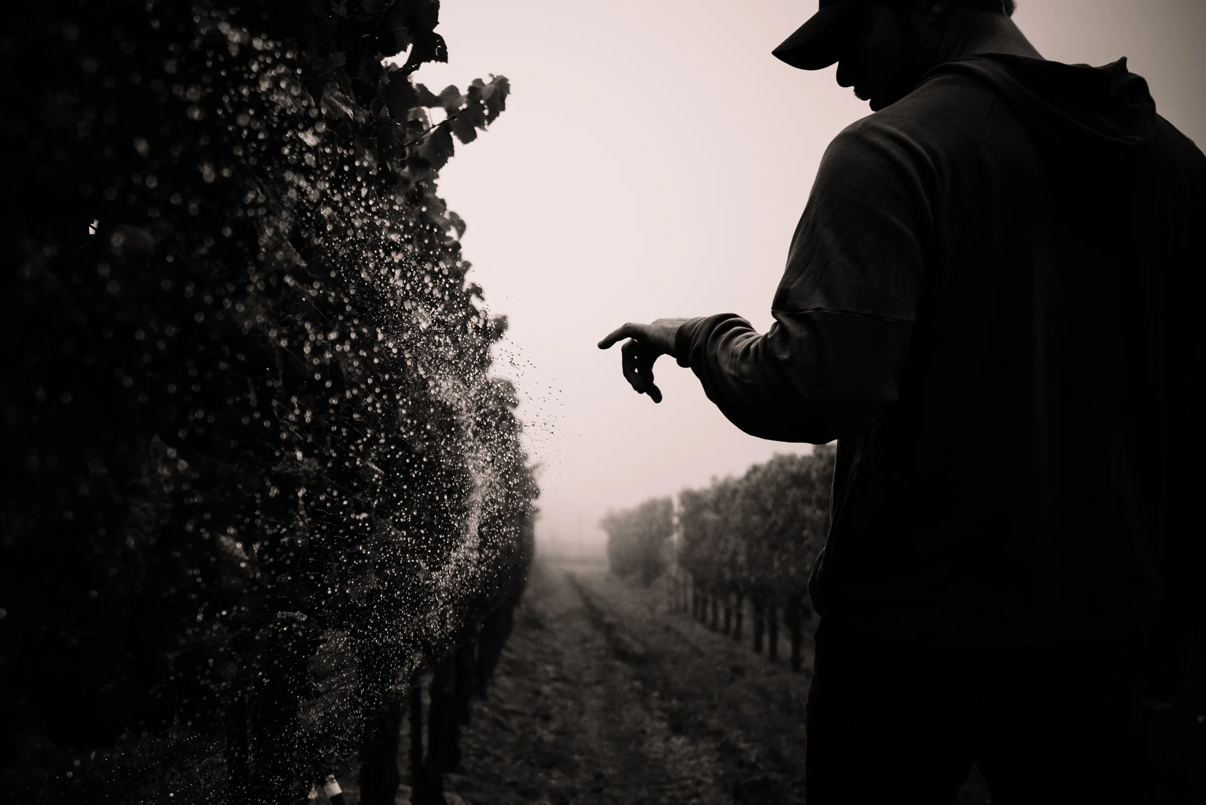 SENSES WEB B&W-97.jpg