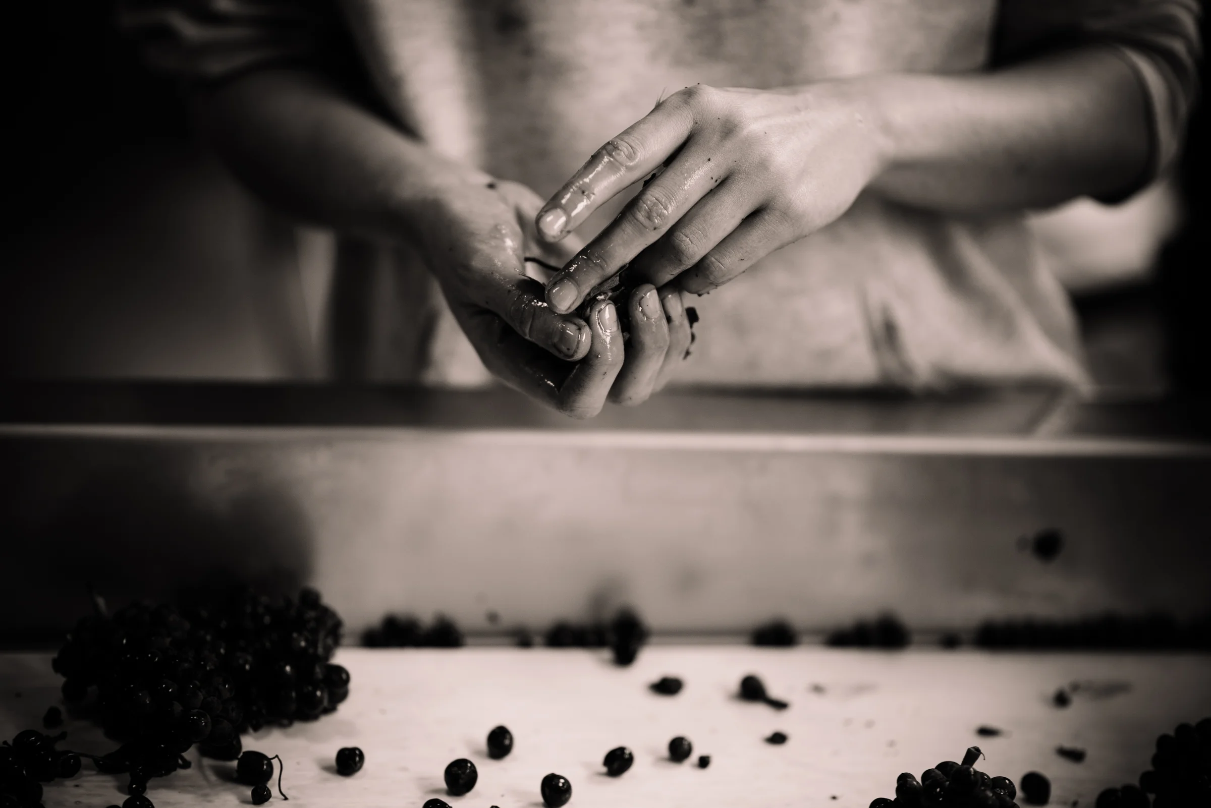 SENSES WEB B&W-131.jpg