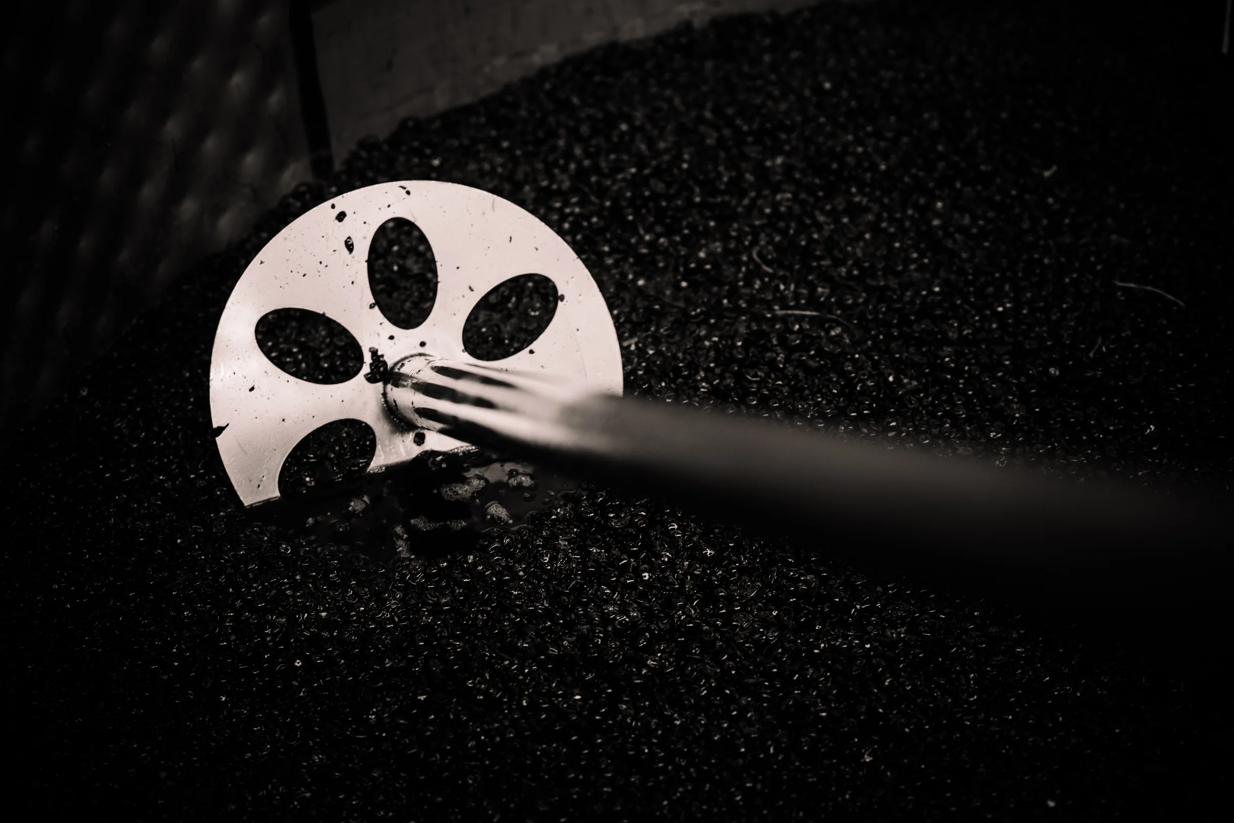 SENSES WEB B&W-128.jpg