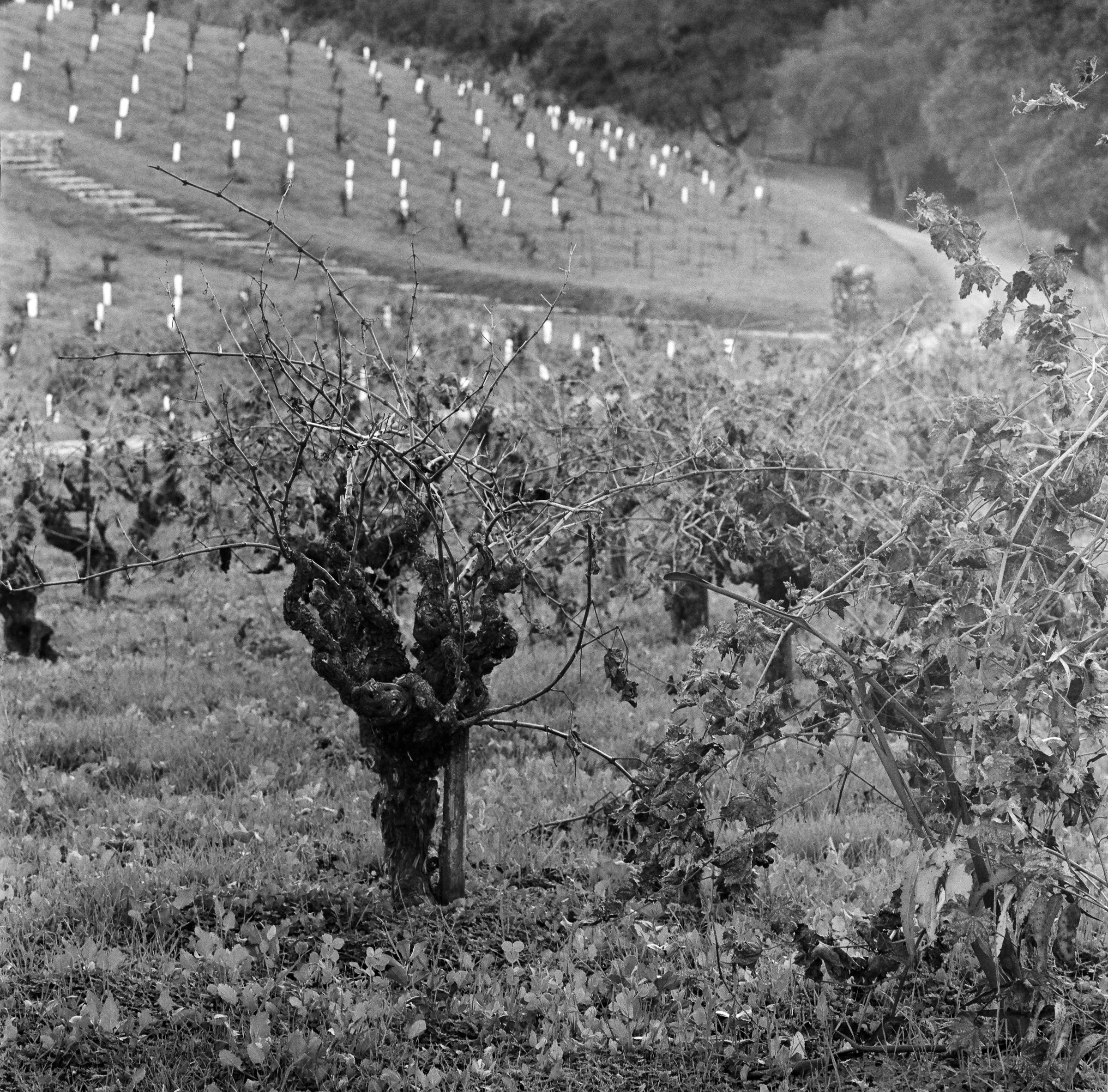 FILM02_18 18.jpg