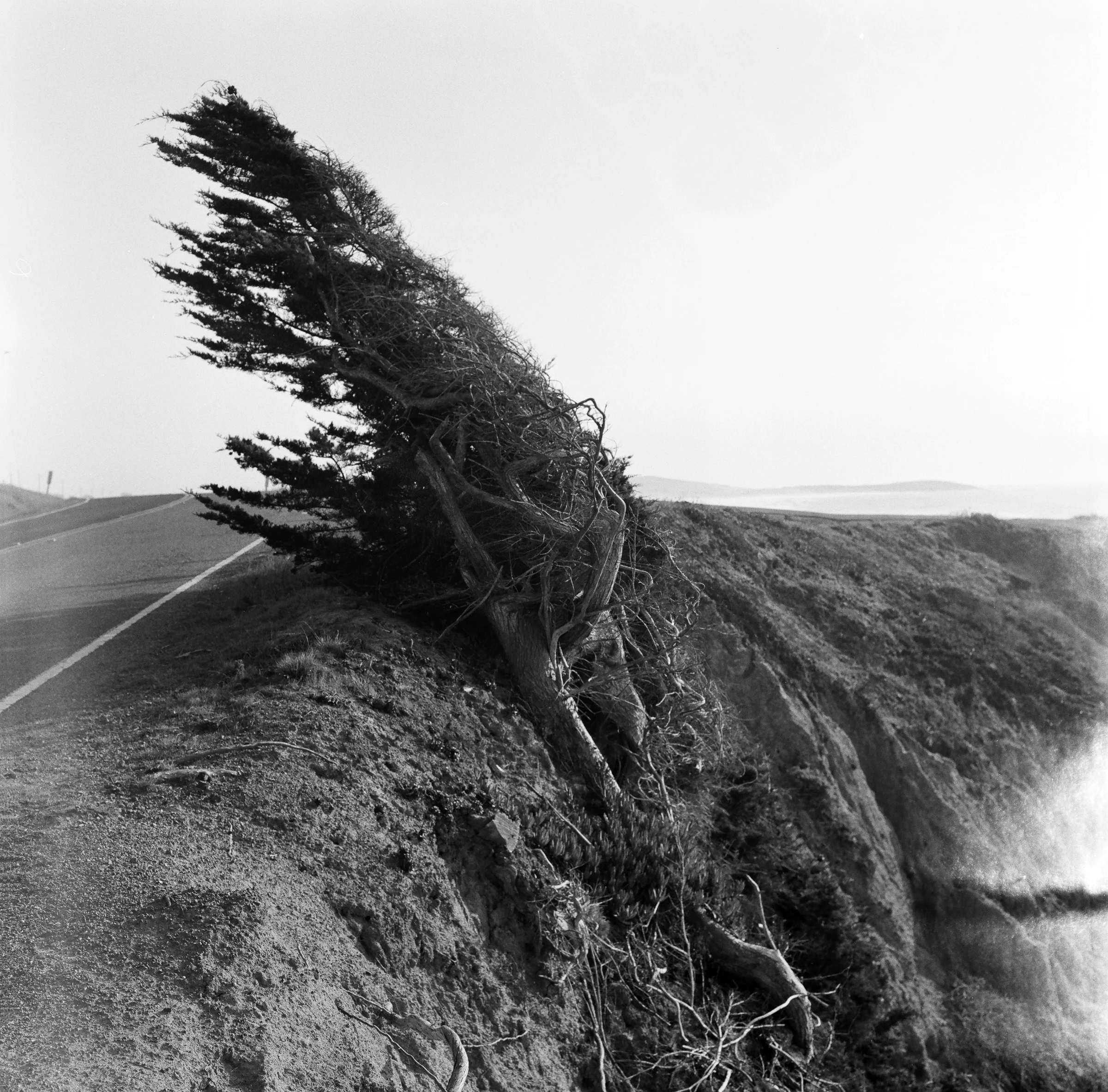 FILM02_18 81.jpg