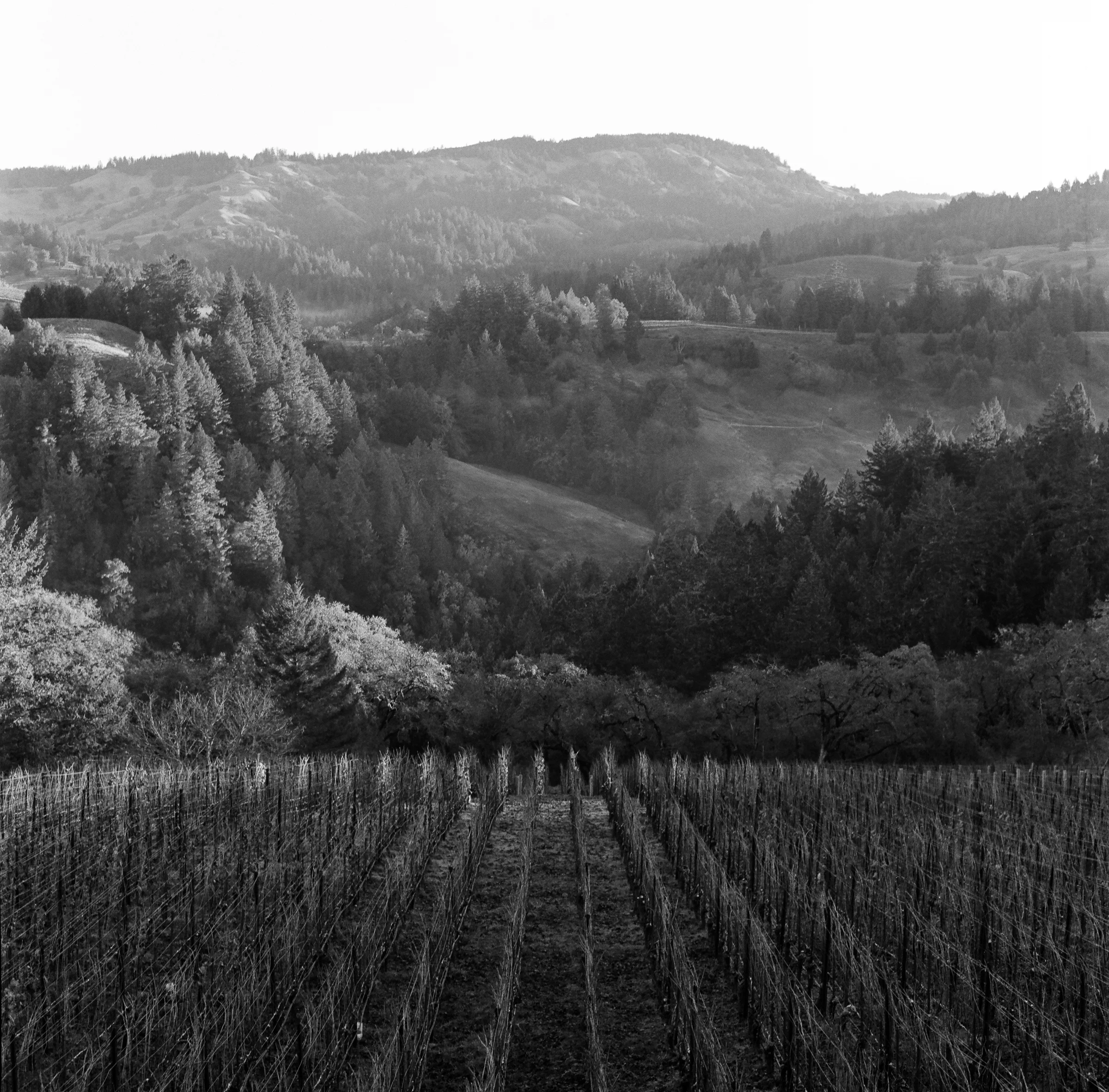 FILM02_18 64.jpg
