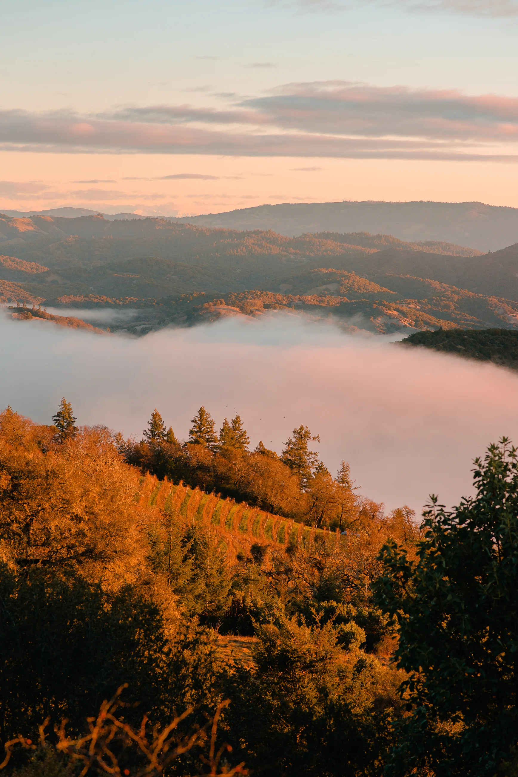 LAKESONOMAFOG-1.jpg