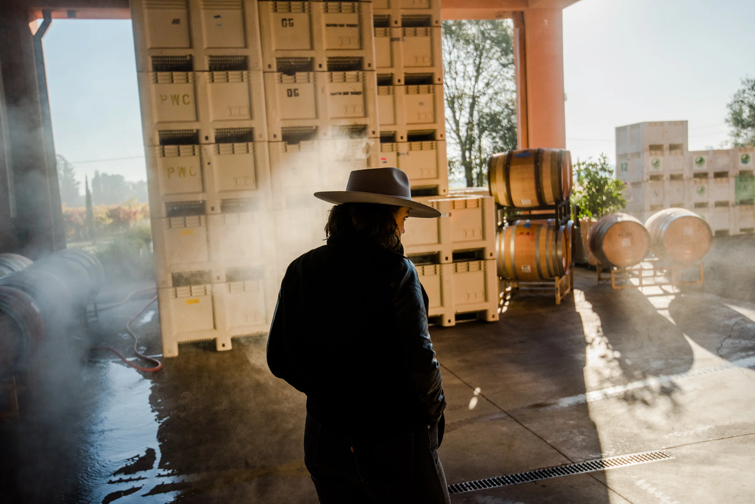 PELLEGRINI_HARVEST_2018 76.jpg