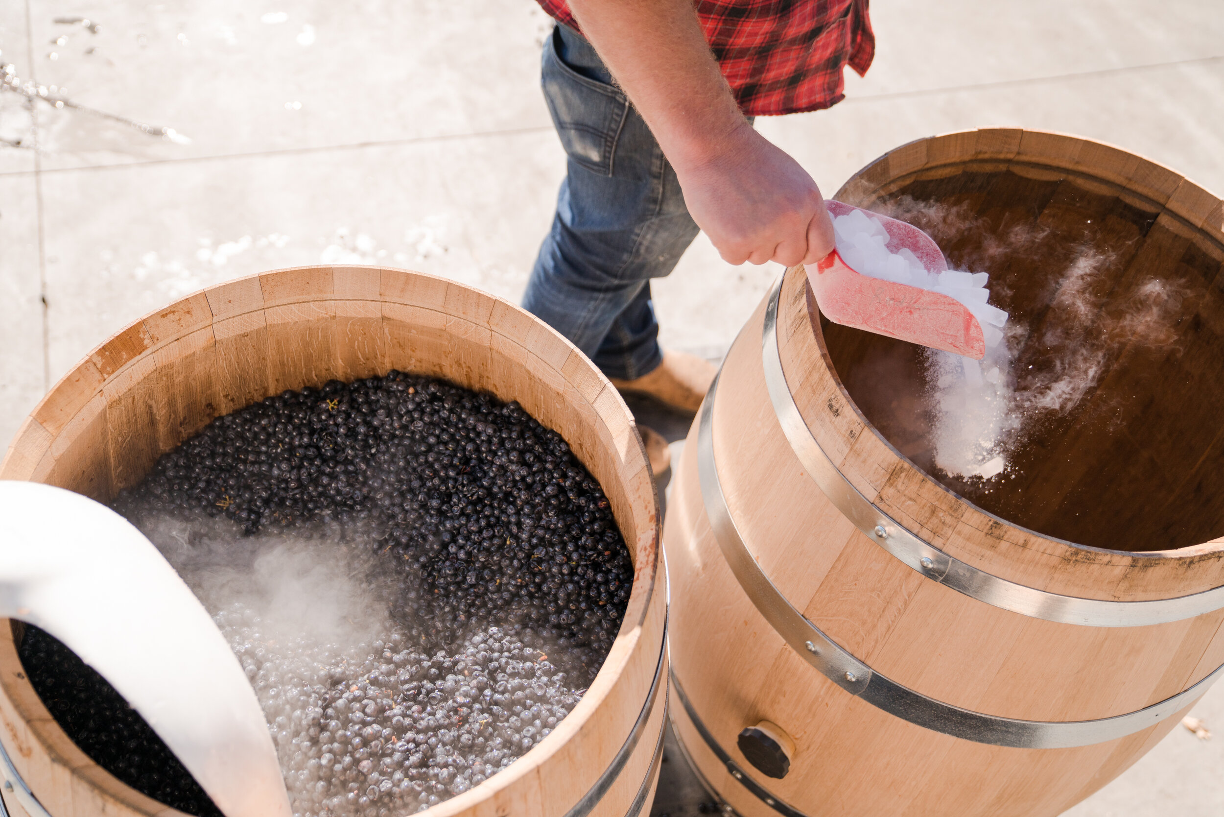 Stringerharvest-07929.jpg