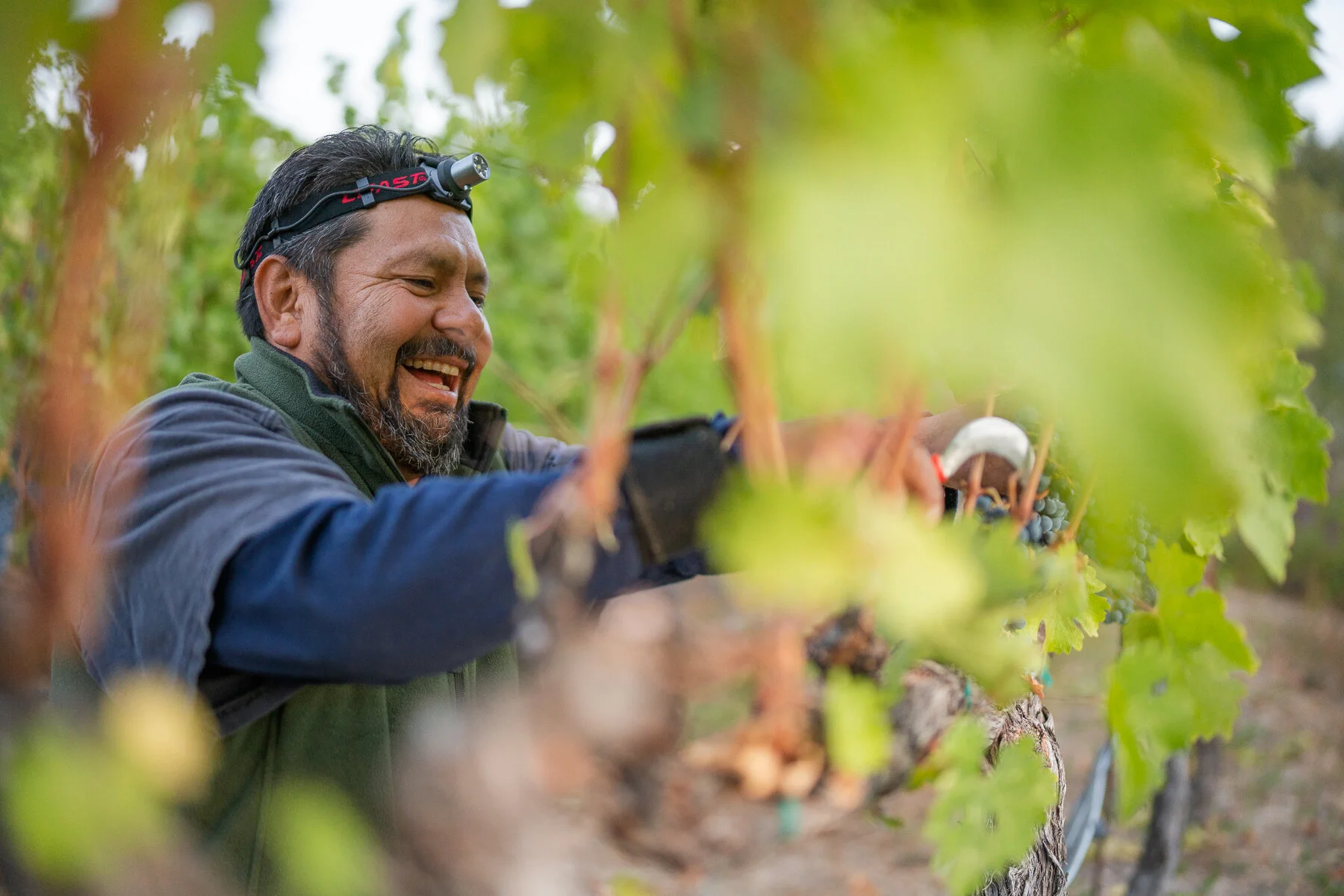 DIAMOND - ALL FILES-7.JPG