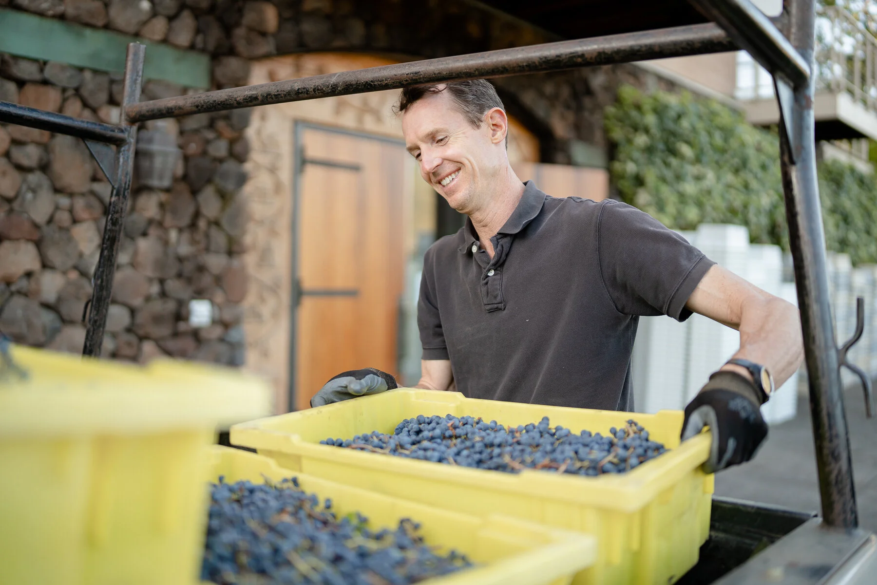 DIAMOND - ALL FILES-17.JPG