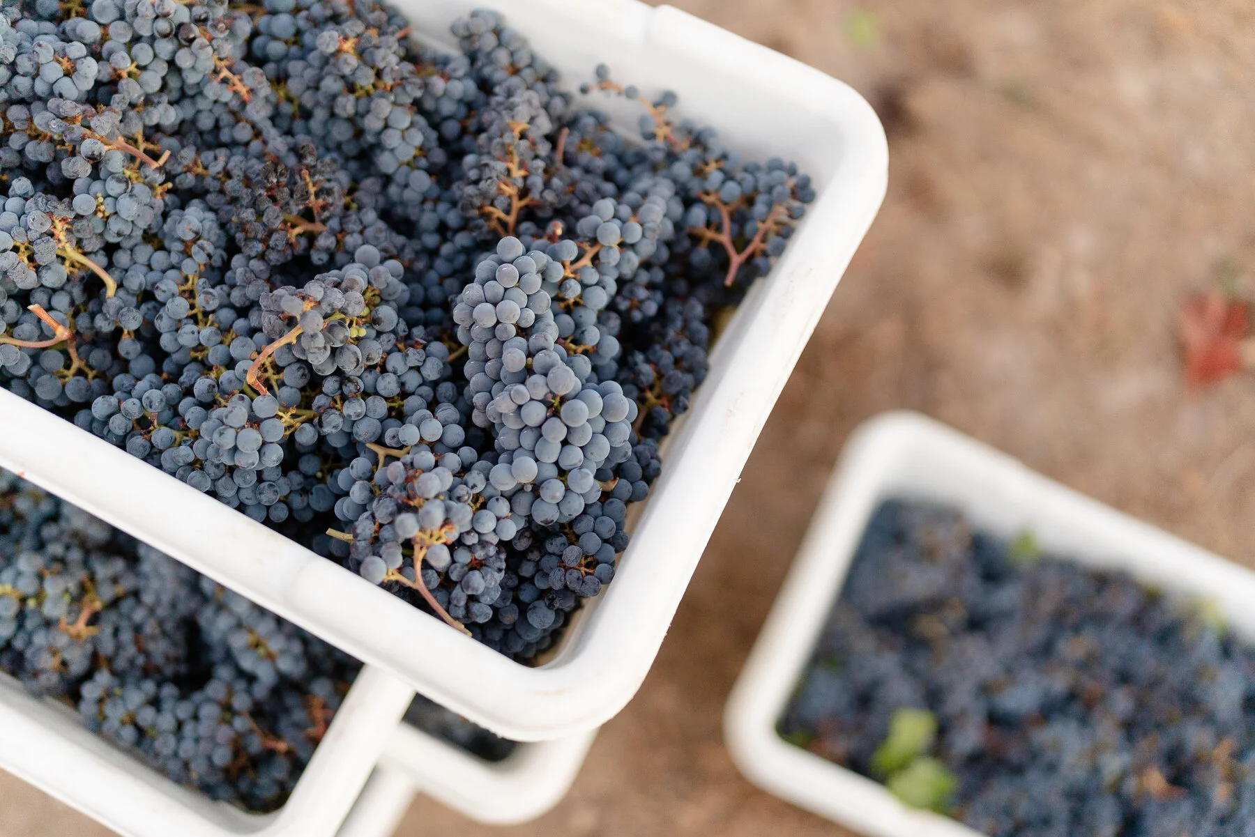 DIAMOND - ALL FILES-22.JPG