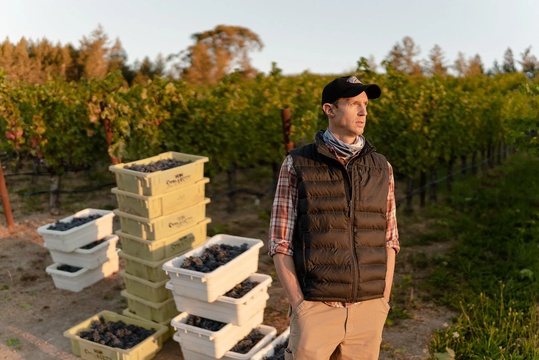 DIAMOND - ALL FILES-23.JPG