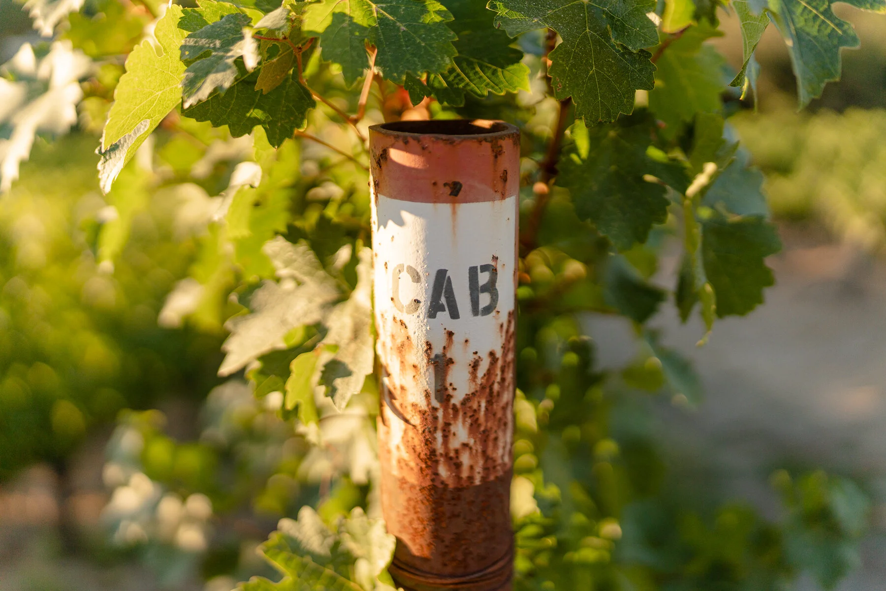 DIAMOND - ALL FILES-26.JPG