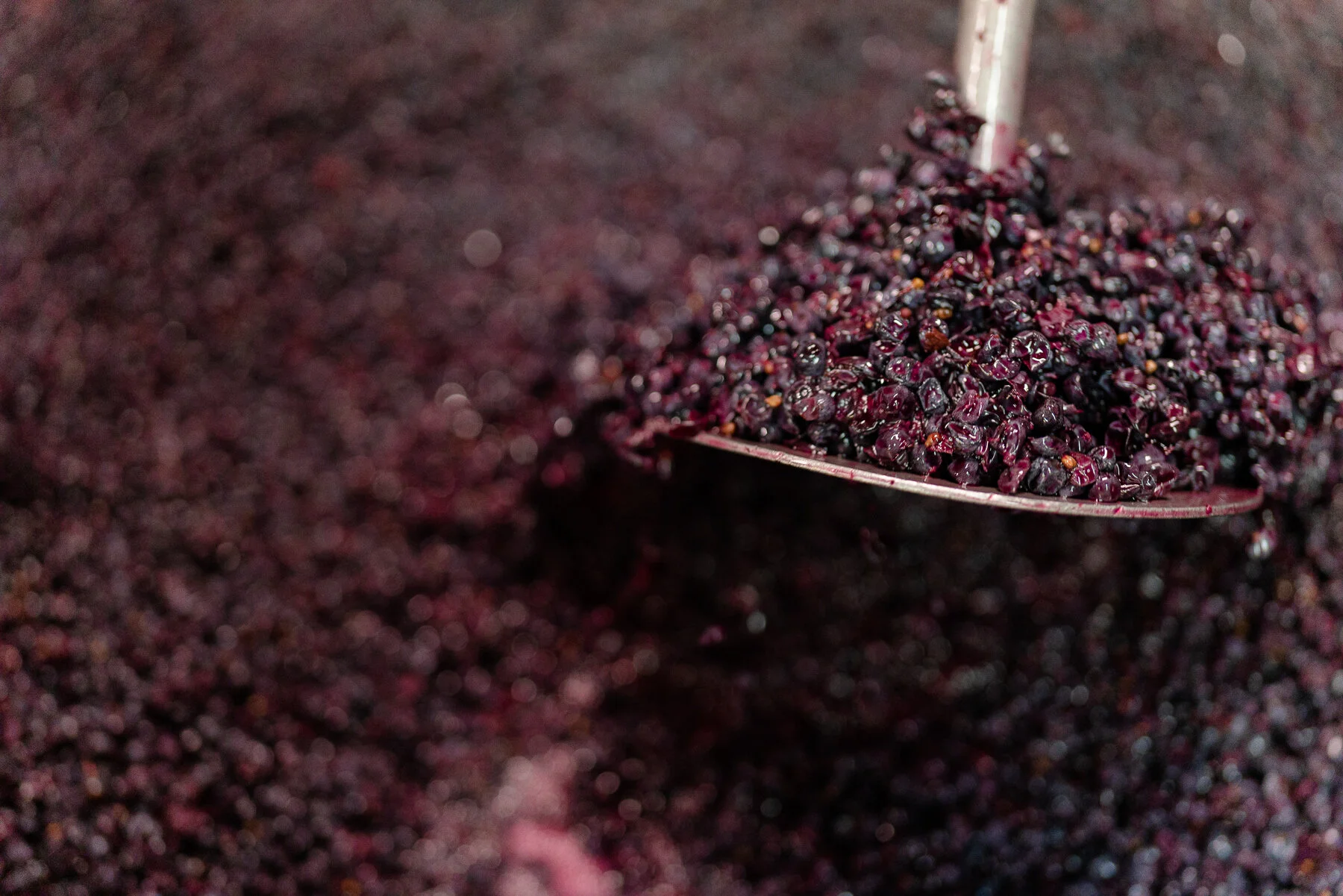 DIAMOND - ALL FILES-39.JPG