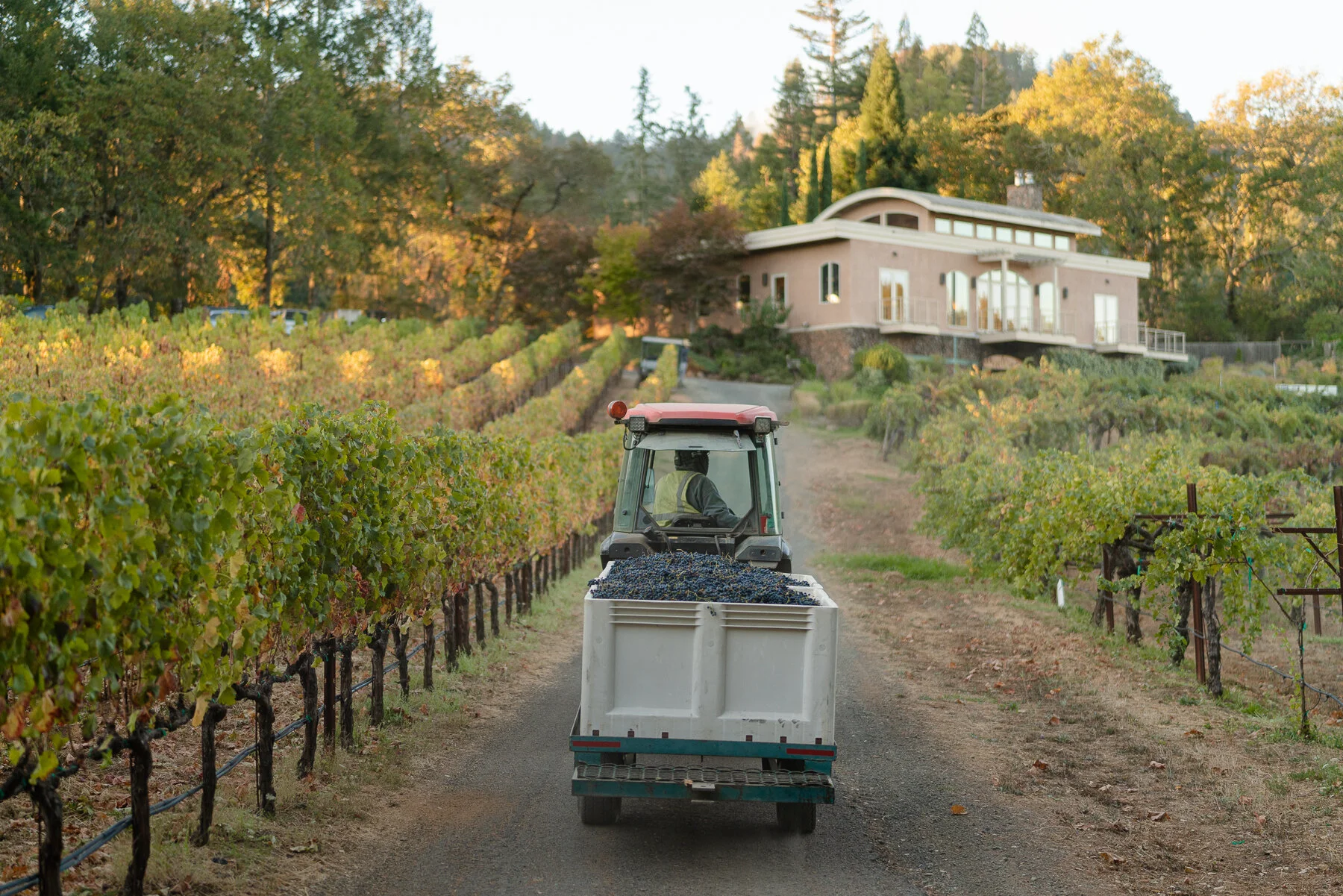 DIAMOND - ALL FILES-54.JPG