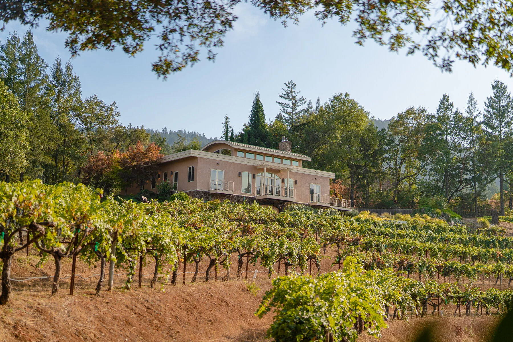 DIAMOND - ALL FILES-62.JPG