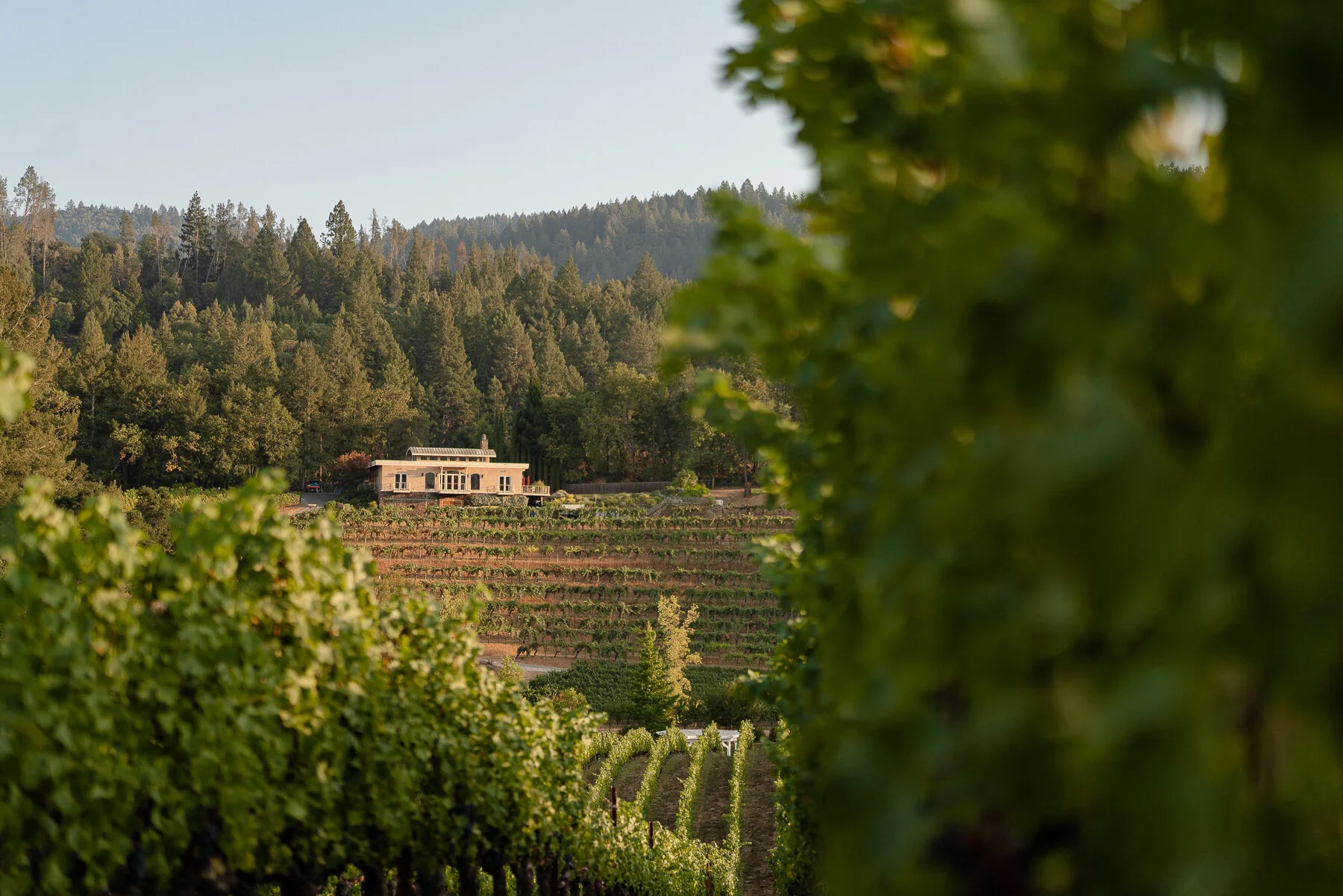 DIAMOND - ALL FILES-71.JPG