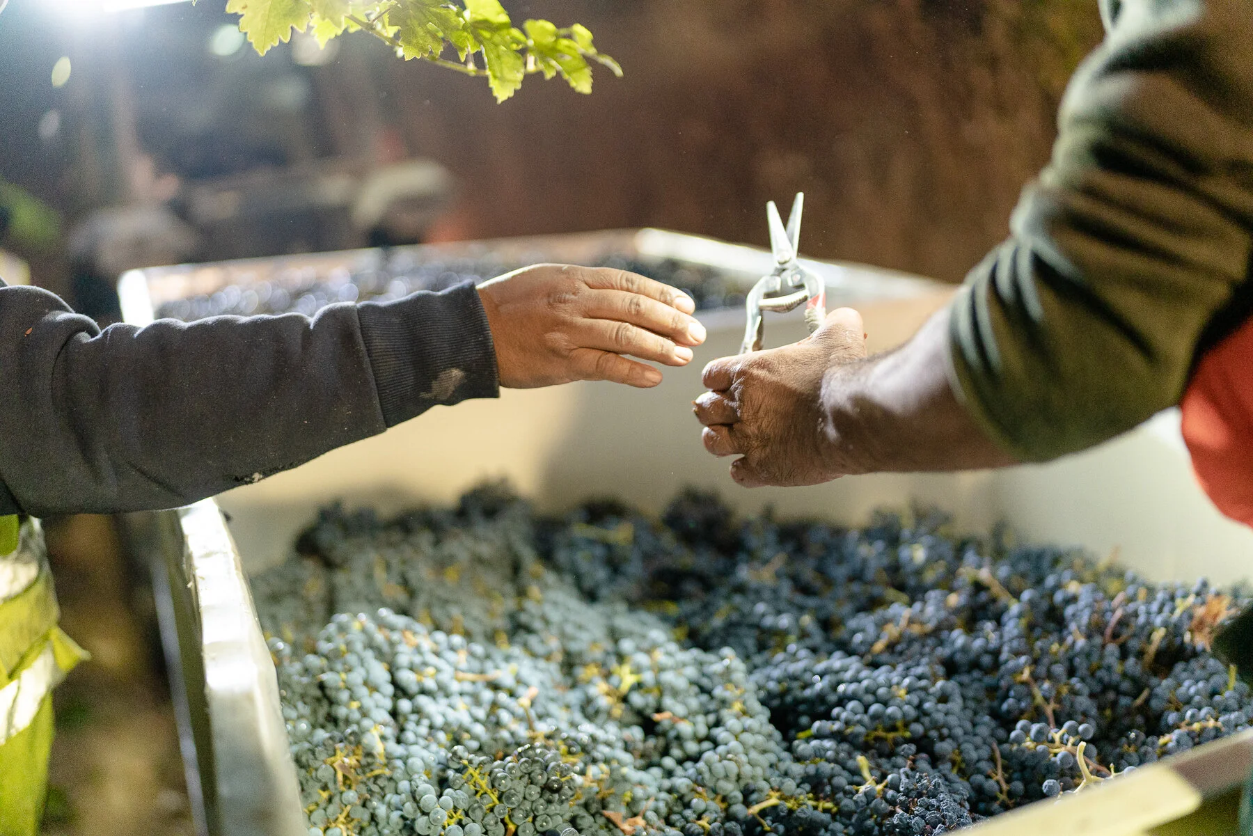 DIAMOND - ALL FILES-34.JPG