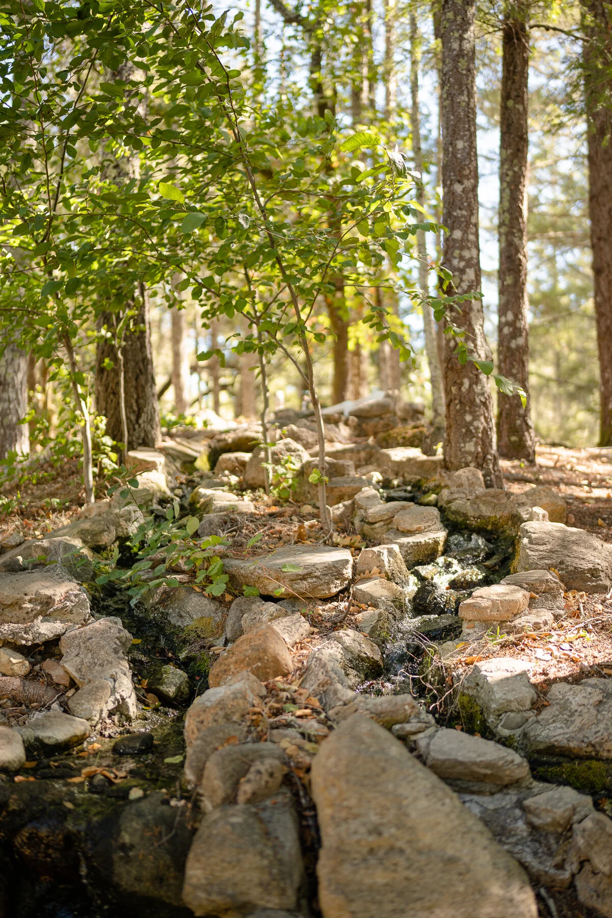 DIAMOND - ALL FILES-33.JPG