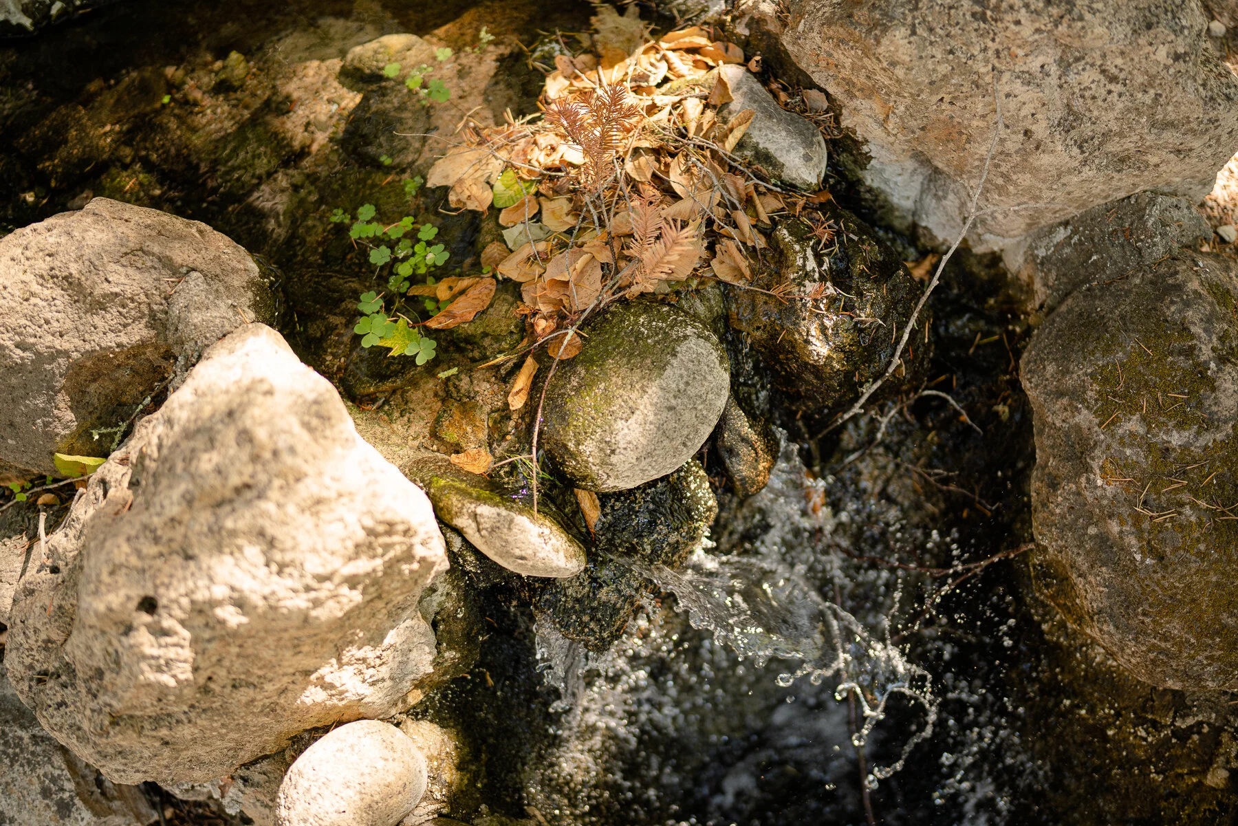 DIAMOND - ALL FILES-32.JPG