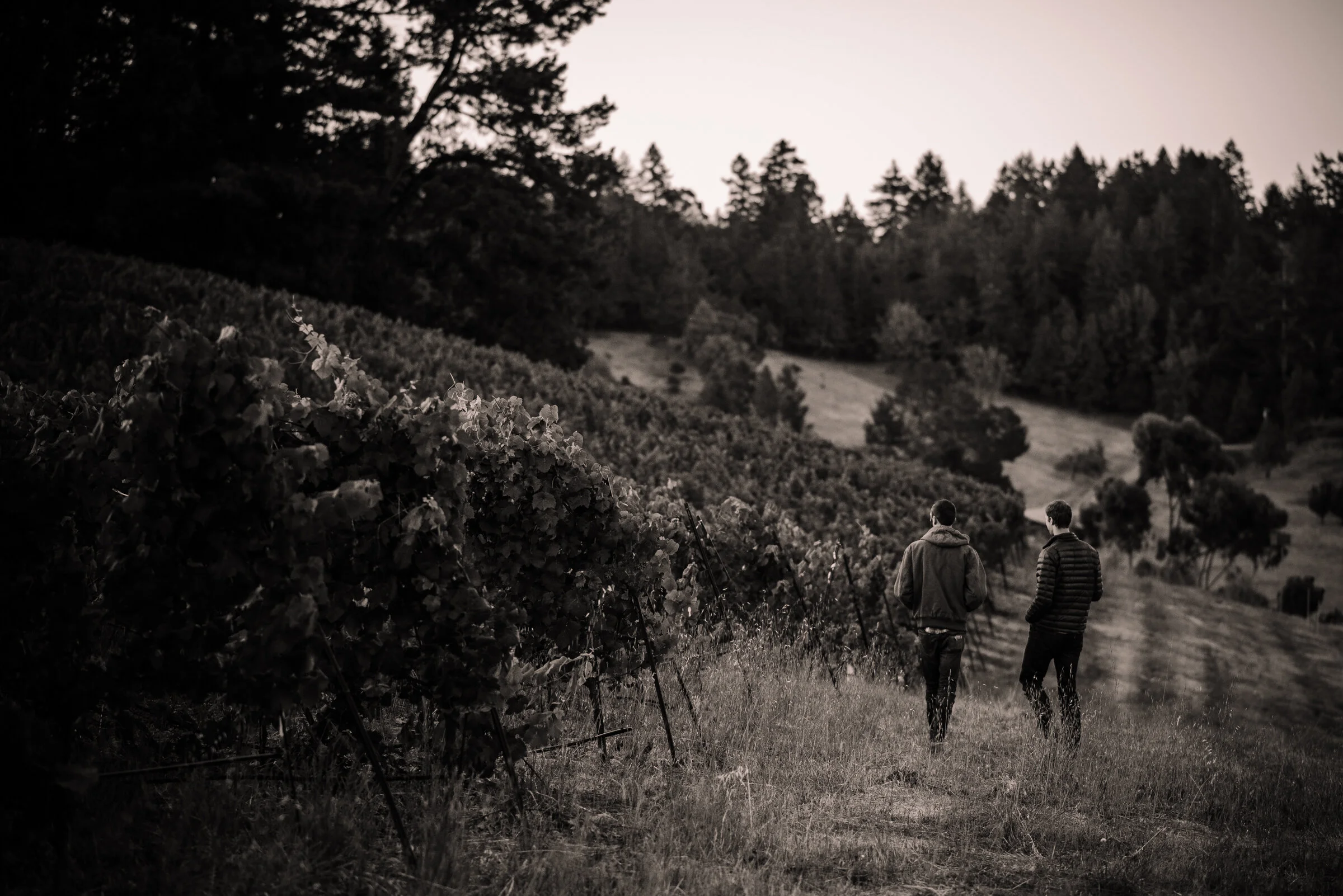 SENSES WEB B&W-16.jpg