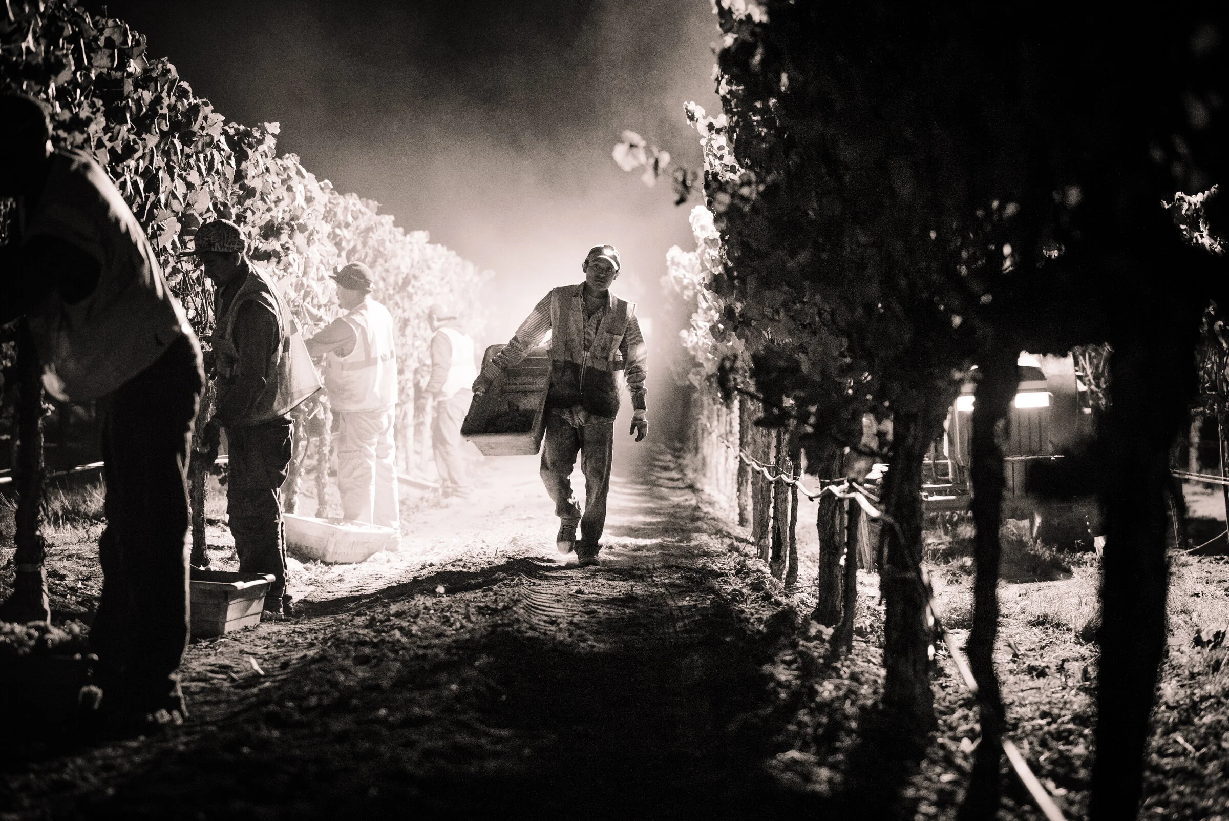 SENSES WEB B&W-113.jpg