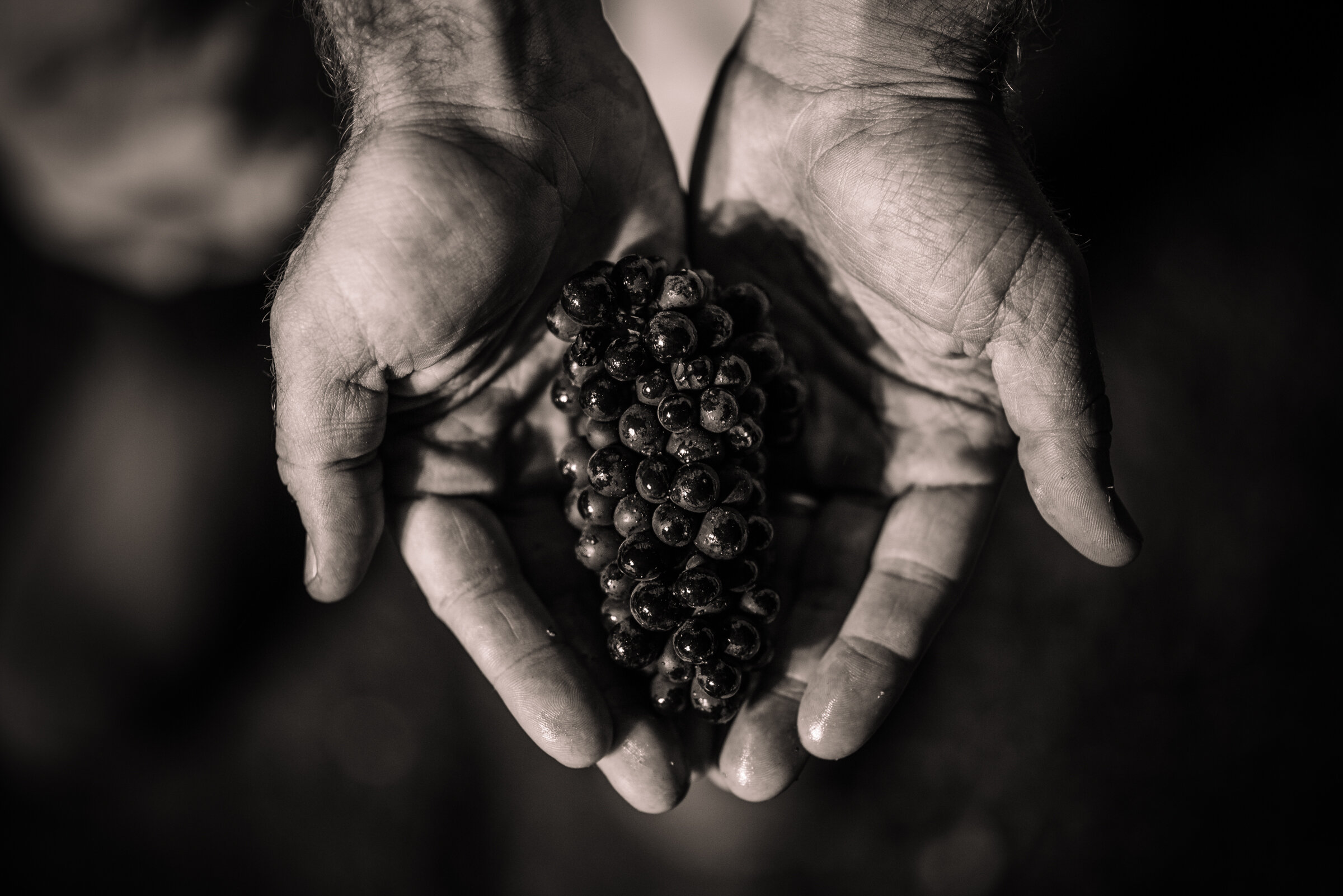 SENSES WEB B&W-126.jpg