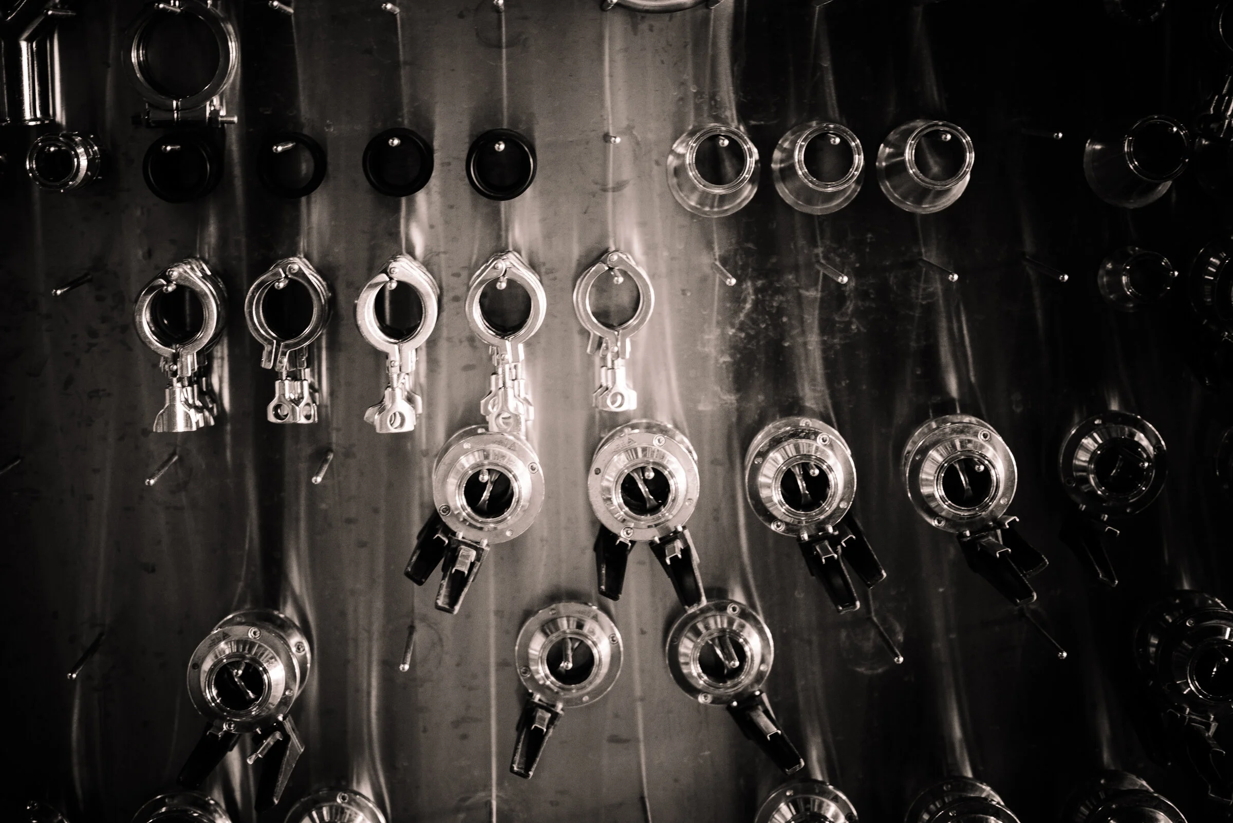 SENSES WEB B&W-81.jpg