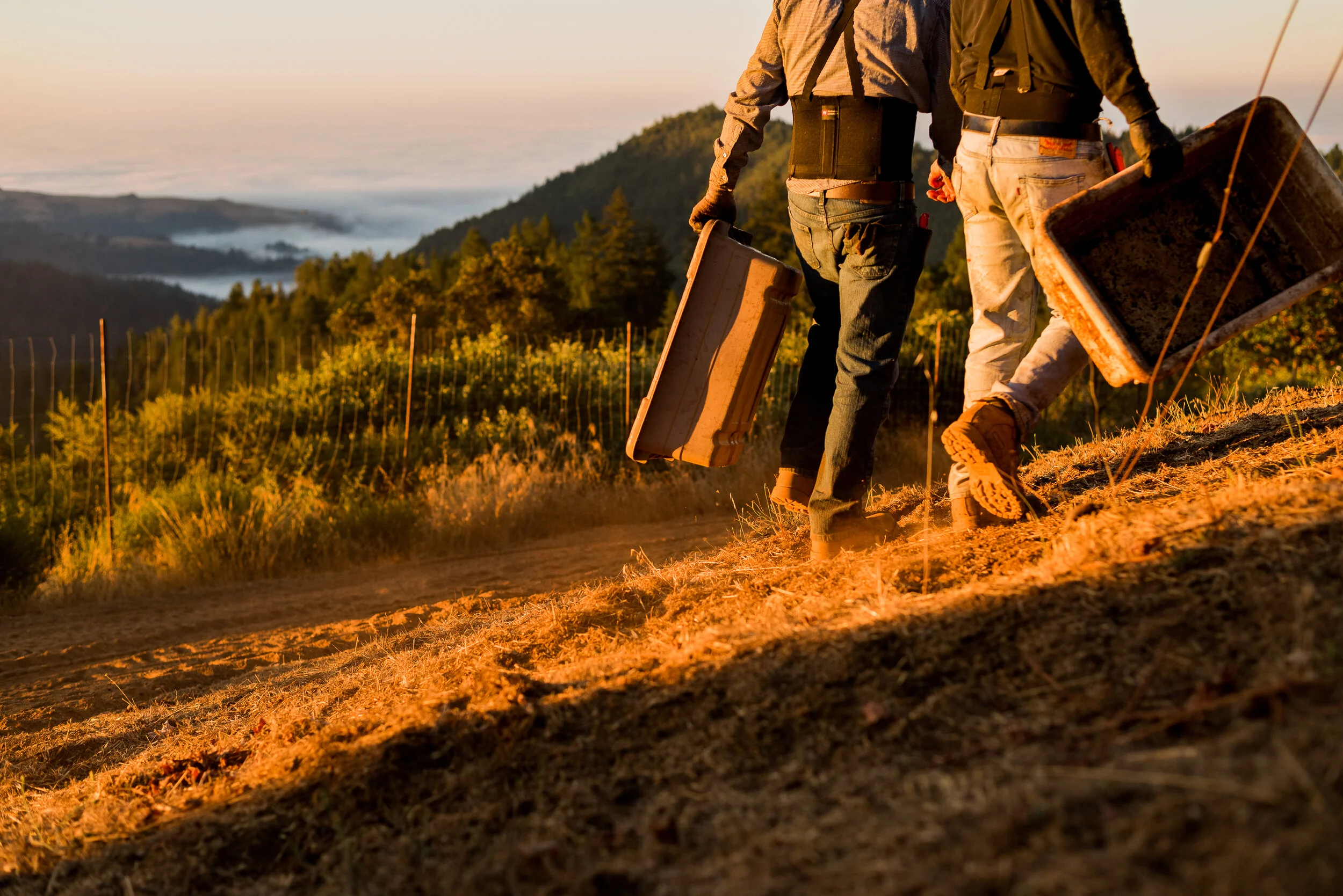 WEBPOST_FLOWERS 4.jpg