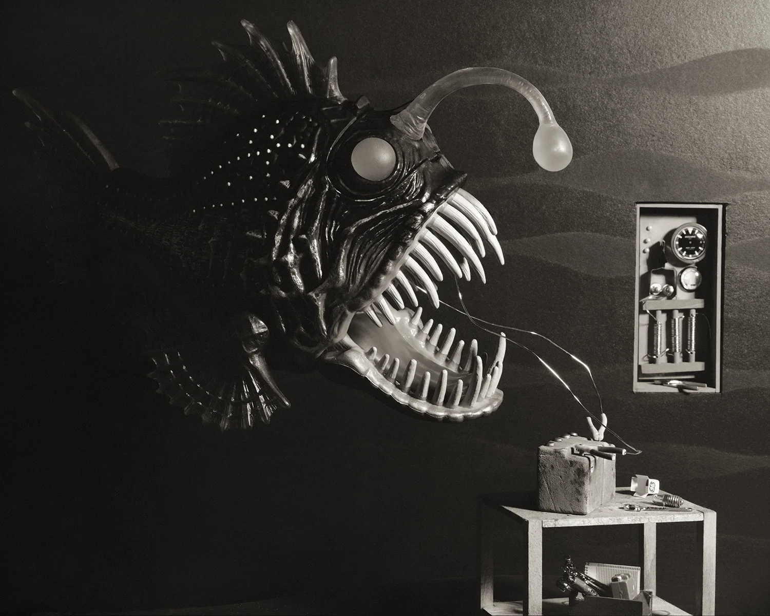 Angler Fish, 2009
