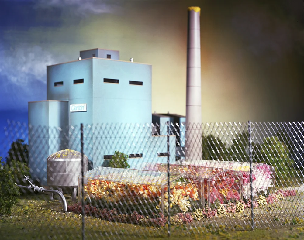 Pollen Factory, 2000