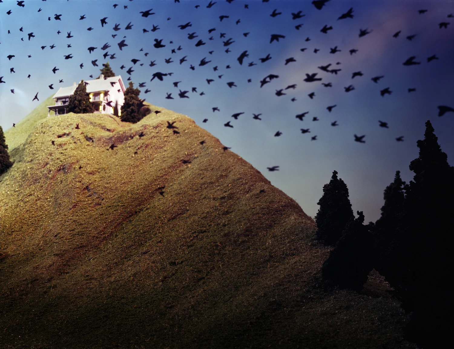 Birds In Flight, 2001