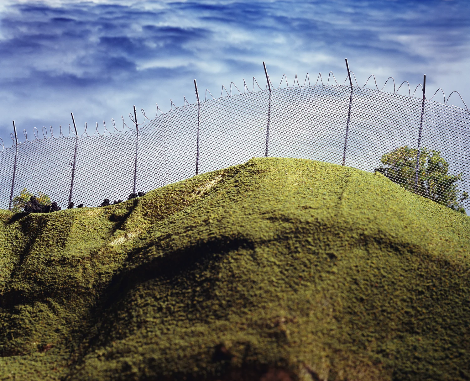 Fence, 2001