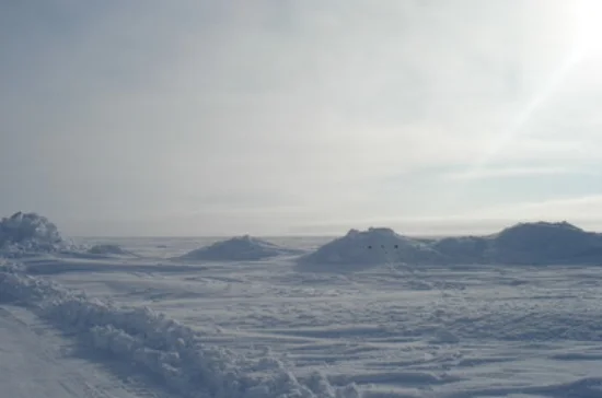 point-barrow-1.jpg