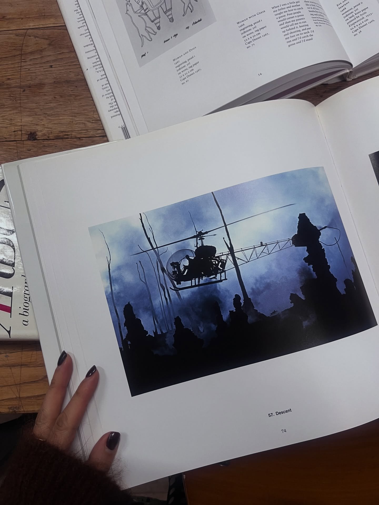 Pete Turner. 1967. Descent.