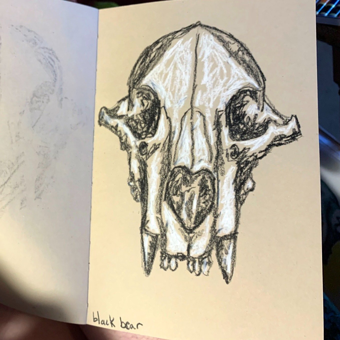 Pencils to paper, candlelight flickering, and the quiet hum of creativity&mdash;our Drawing from Life &amp; Death is back on March 5th! ✍️✨ 
Join us for an evening of artistic exploration, guided by the incredible Celina Starnes and the soulful harp 