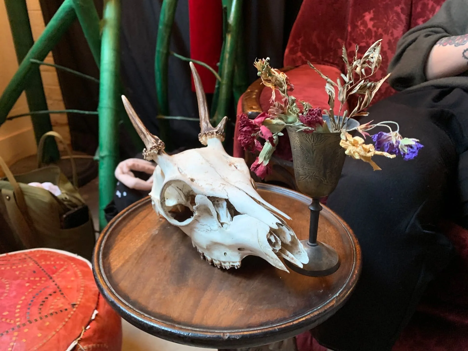 Join us in the lantern-lit environment of Secret Headquarters to draw beautiful animal skulls found in the wild. Artist Naomi Singer will welcome you to this relaxed and non-judgmental session, while guitarist Jeff Baker will fill the night with blue