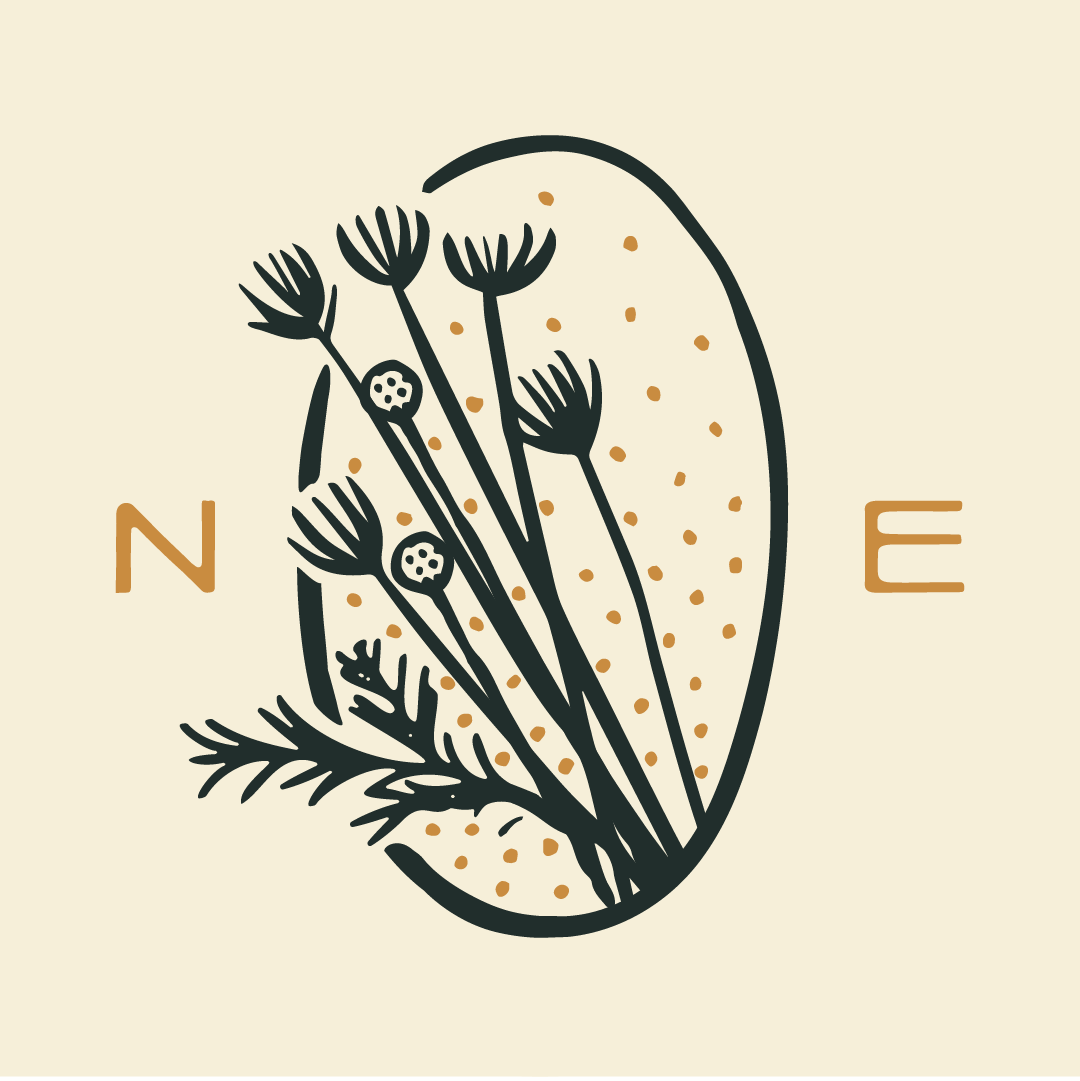 Nest & Evergreen