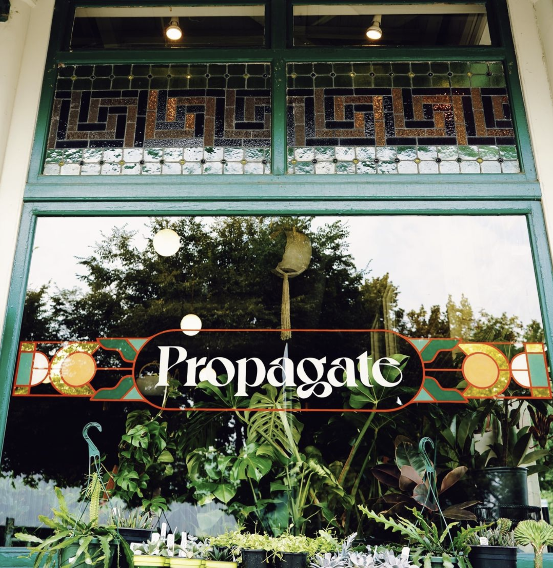 Propagate
