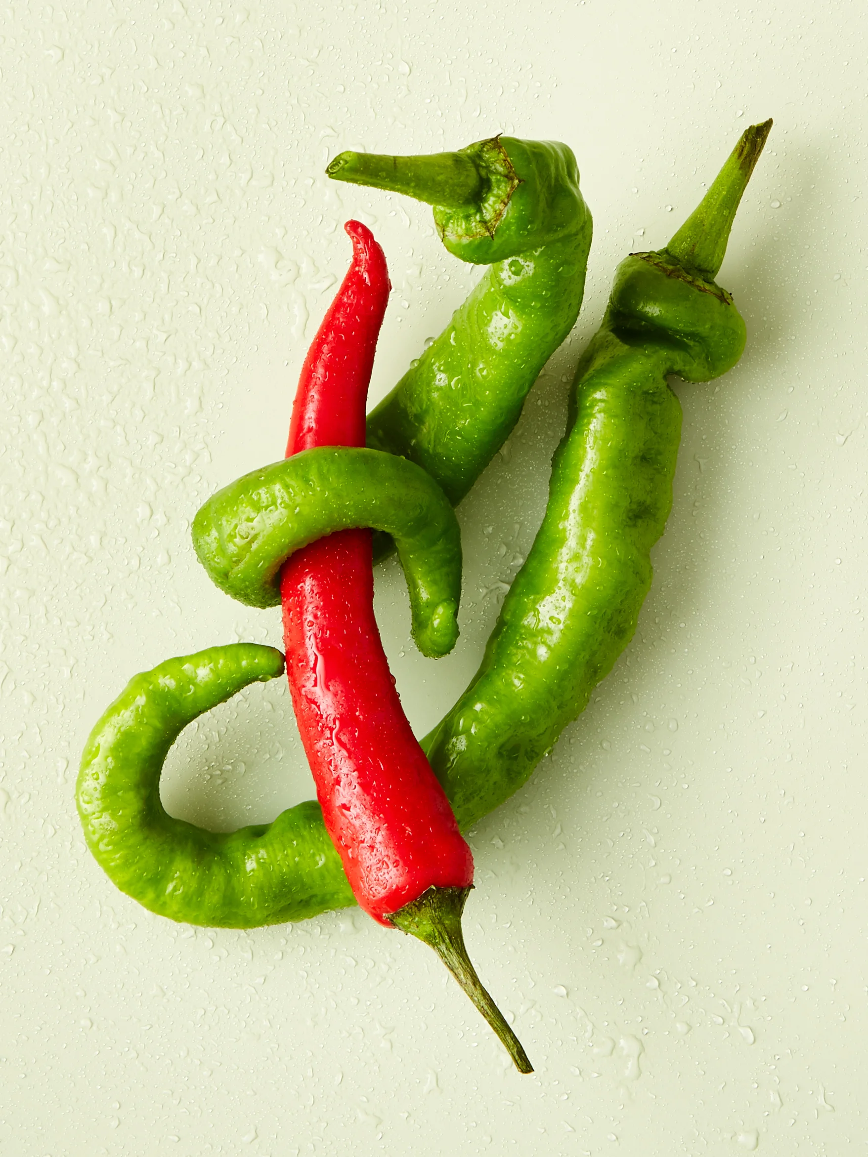 03_23-3 Food14826.jpg