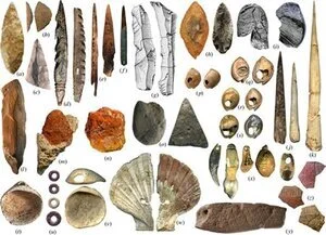 How 49 shells from a cave in Africa motivated me to get to work