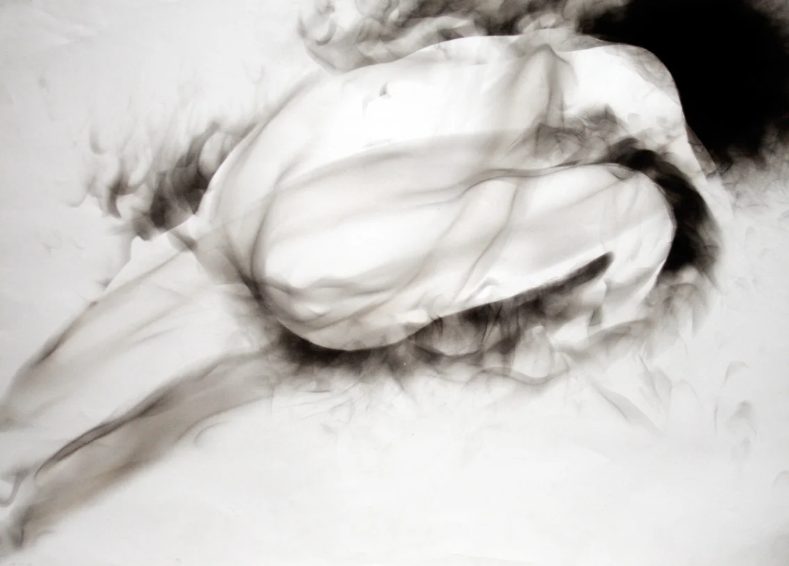 "Fumée TG2," 2010, carbon on paper, 25x30 in.