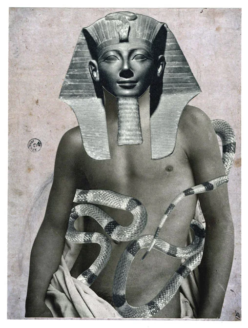 "The Asp that Binds," 2012, collage on paper, 7.25x5.25 in.
