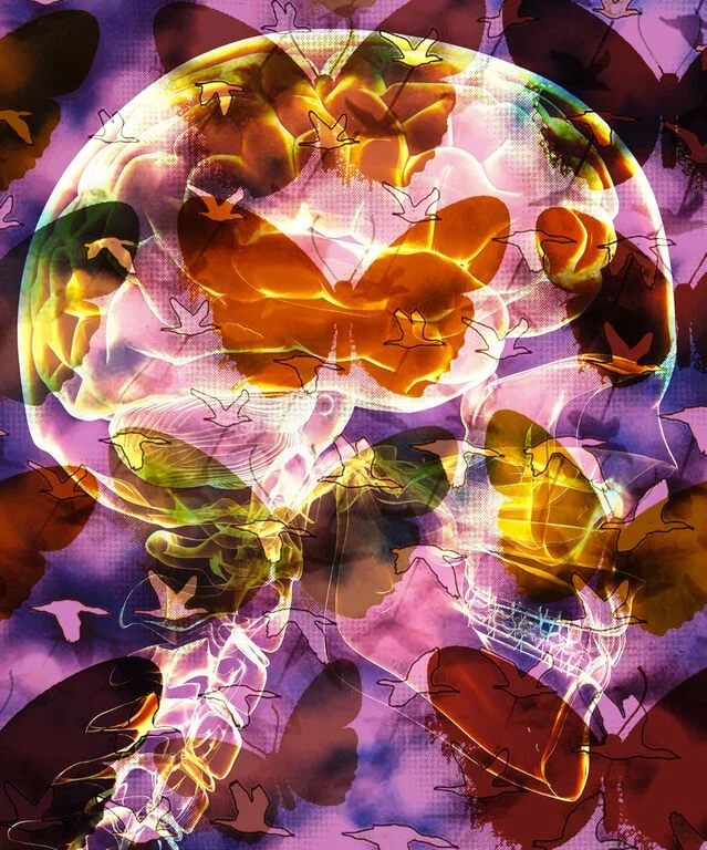 Katya Traboulsi, "Happy," 2013, lenticular print, 39x47 in. 2014 BEIRUT ART FAIR EXHIBITING ARTISTS Vivian van Blerk | Katya Traboulsi click to view photos from exhibition